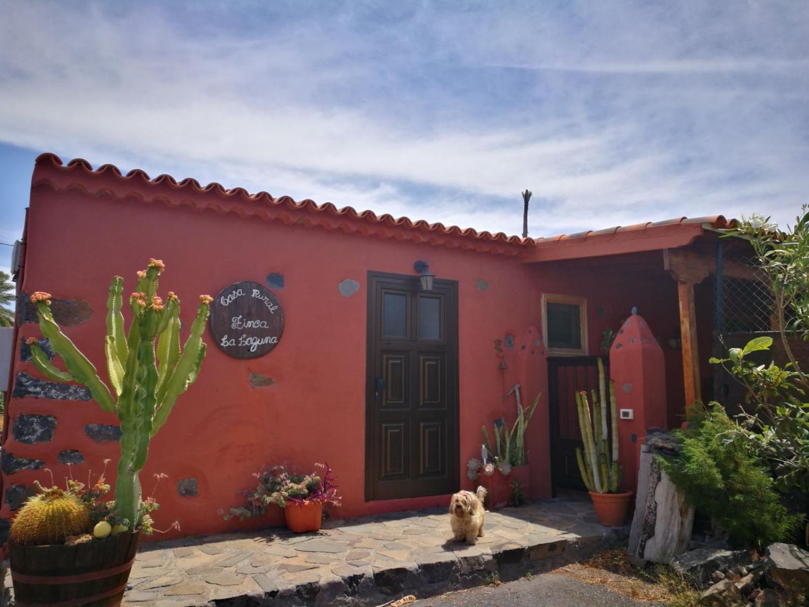 Casa Rural Finca La Laguna view 2