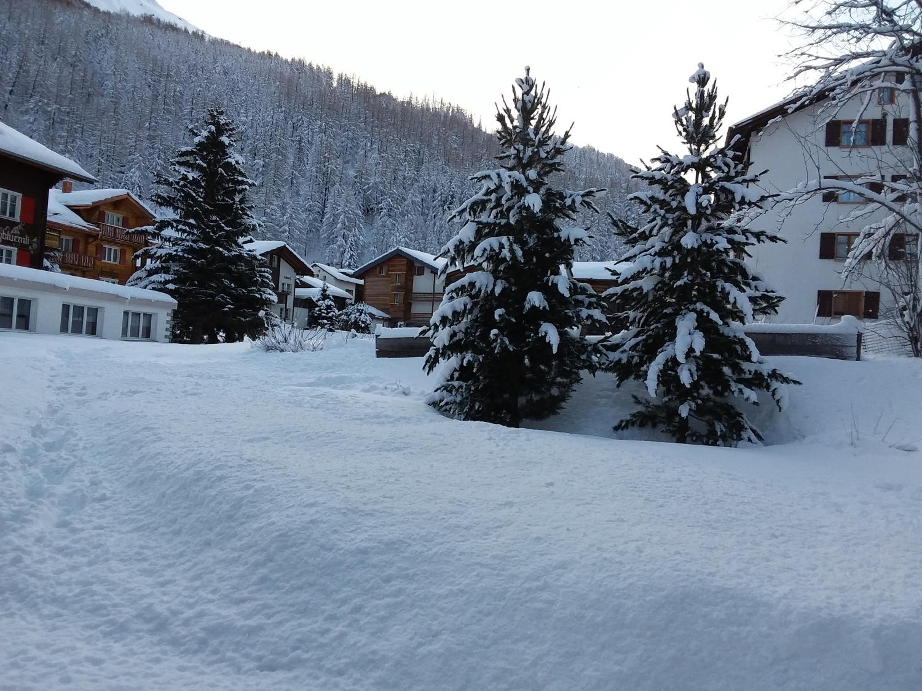 Anis - Property Image 33