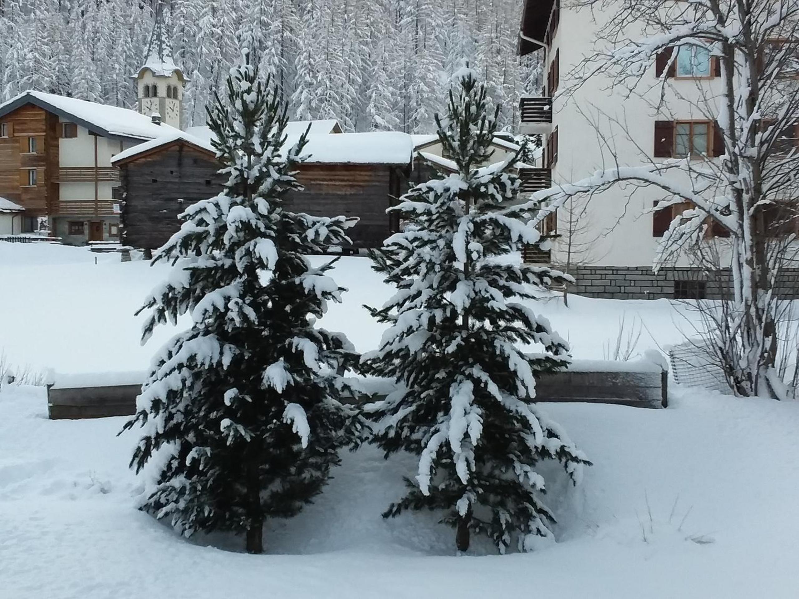 Anis - Property Image 34