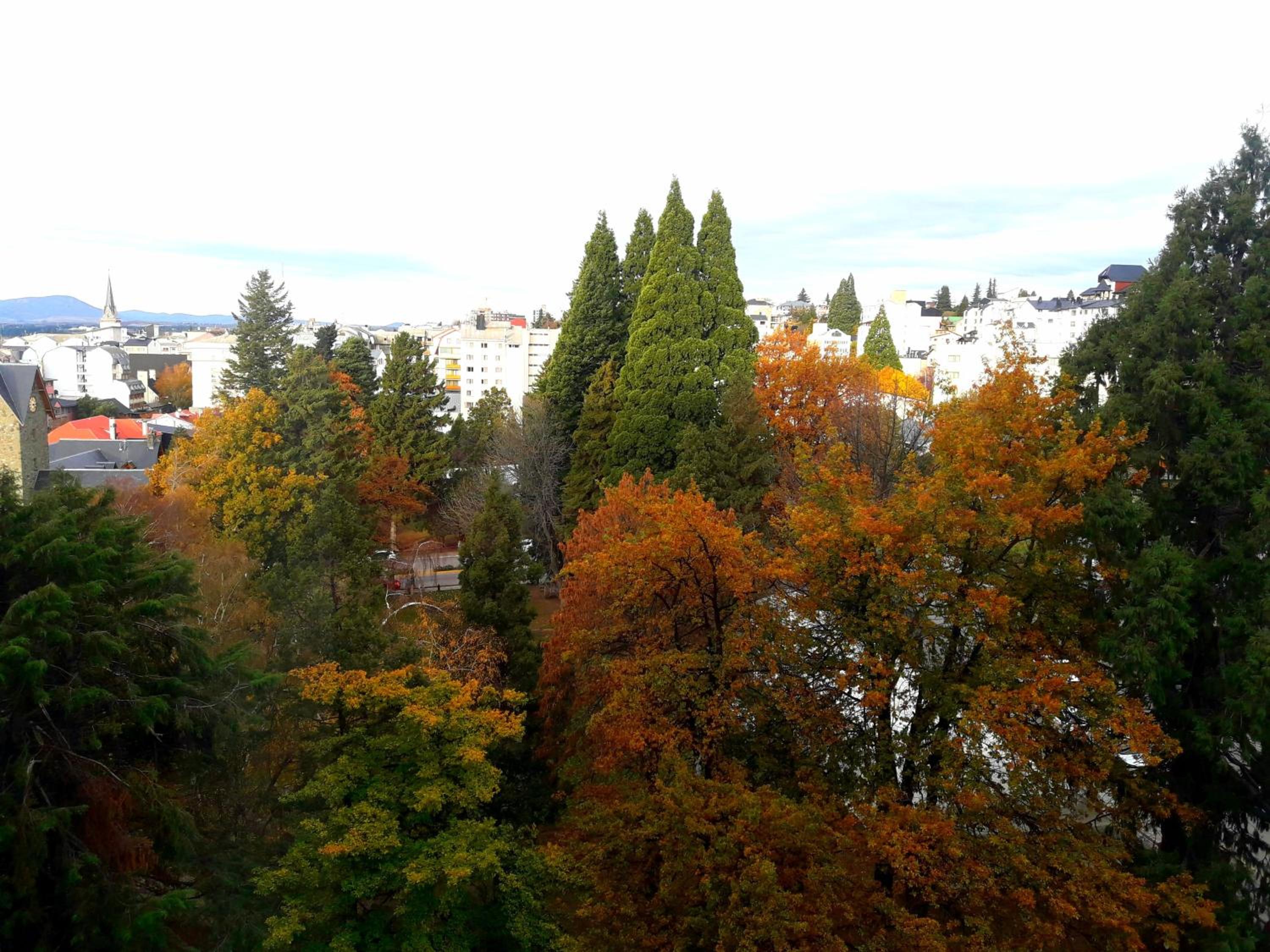 Center Vistas