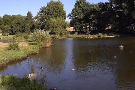 Photo 28