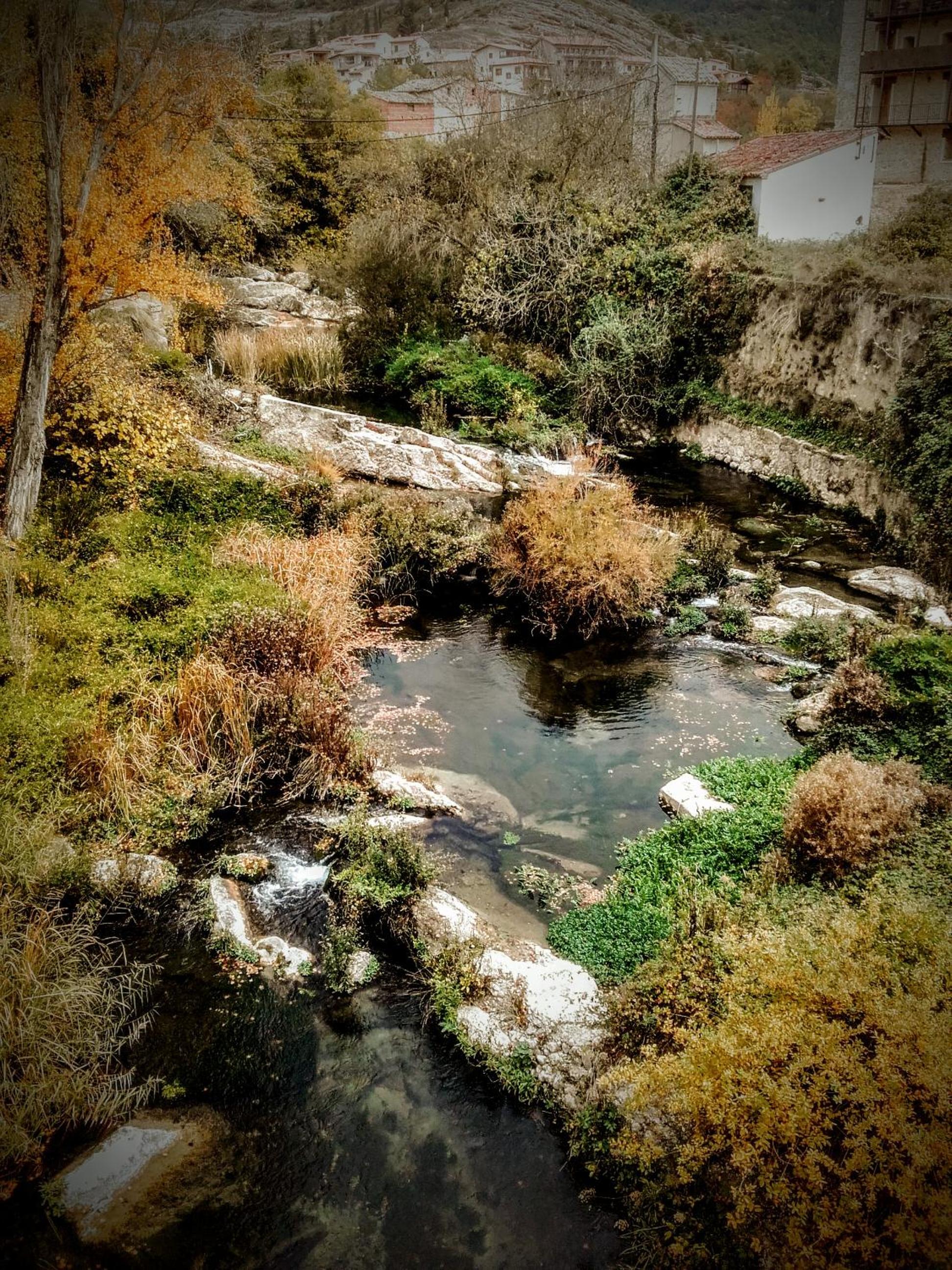 Photo 45