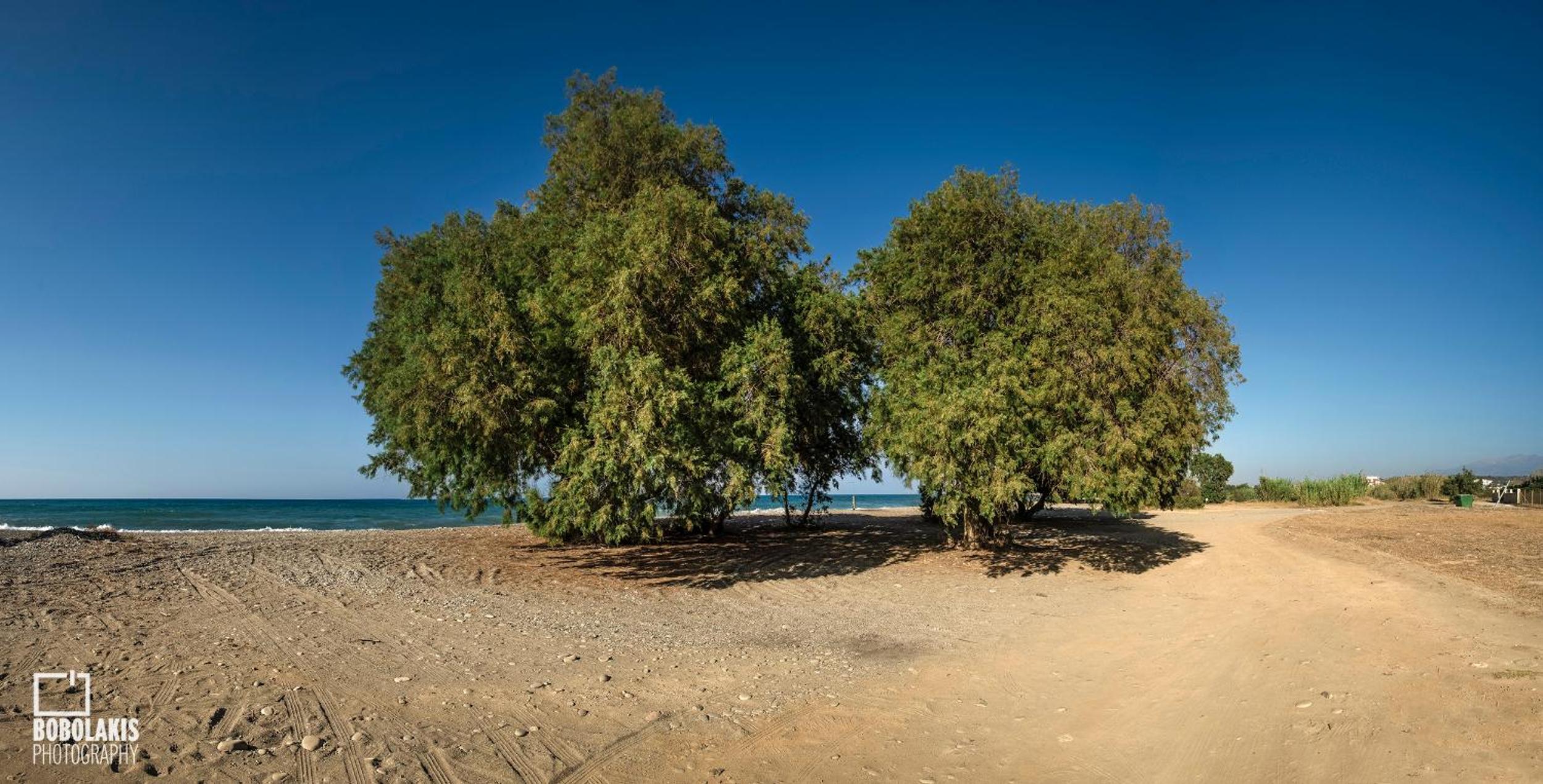 Sirens House en Tavronitis
