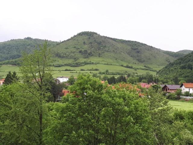 Photo 43
