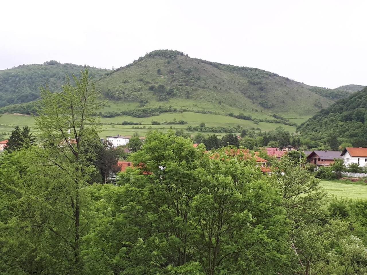 Photo 41