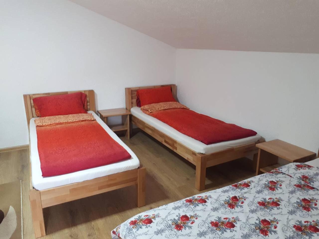 Apartmani Tajra view 3