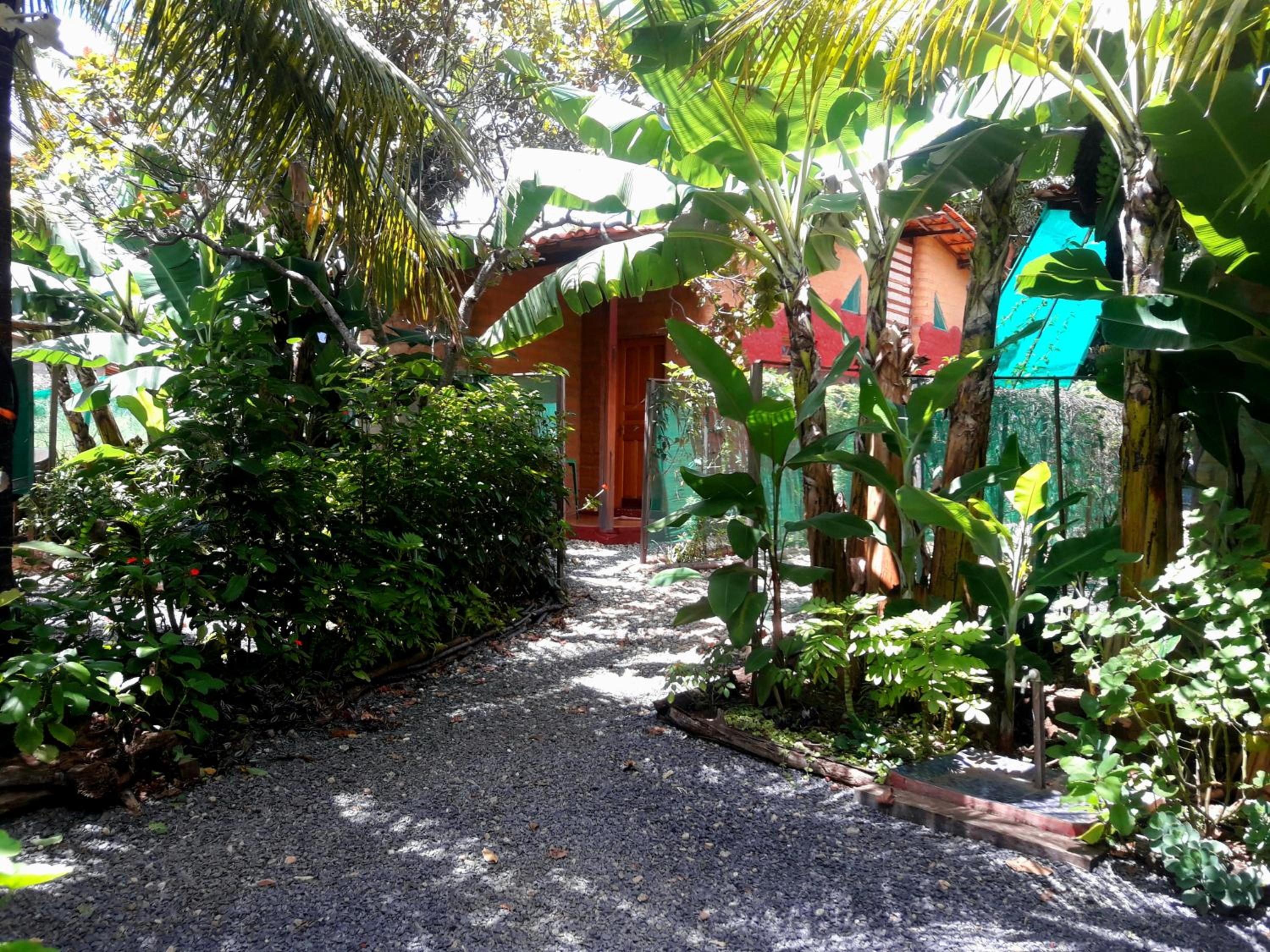 Photo 20