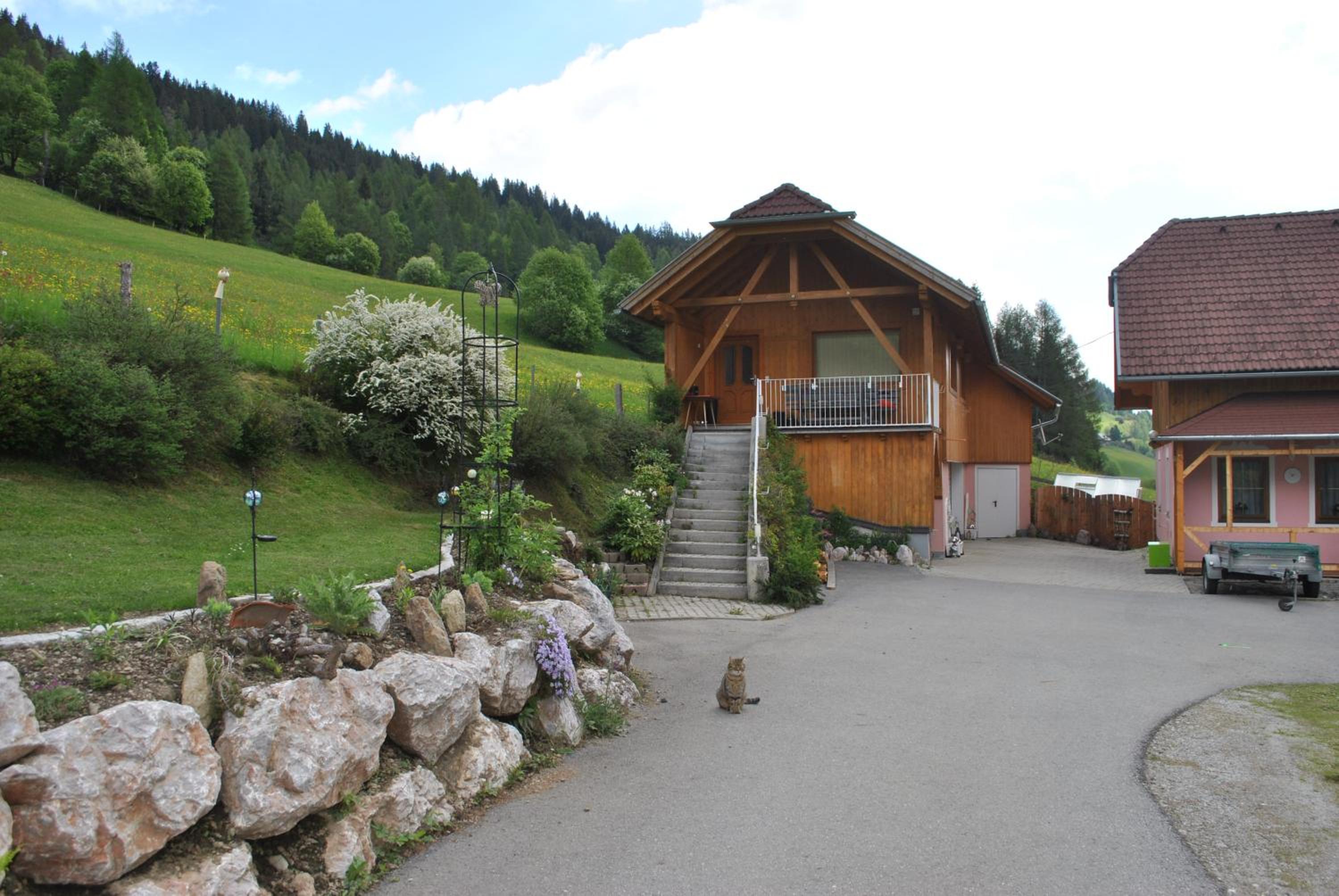 Photo 25