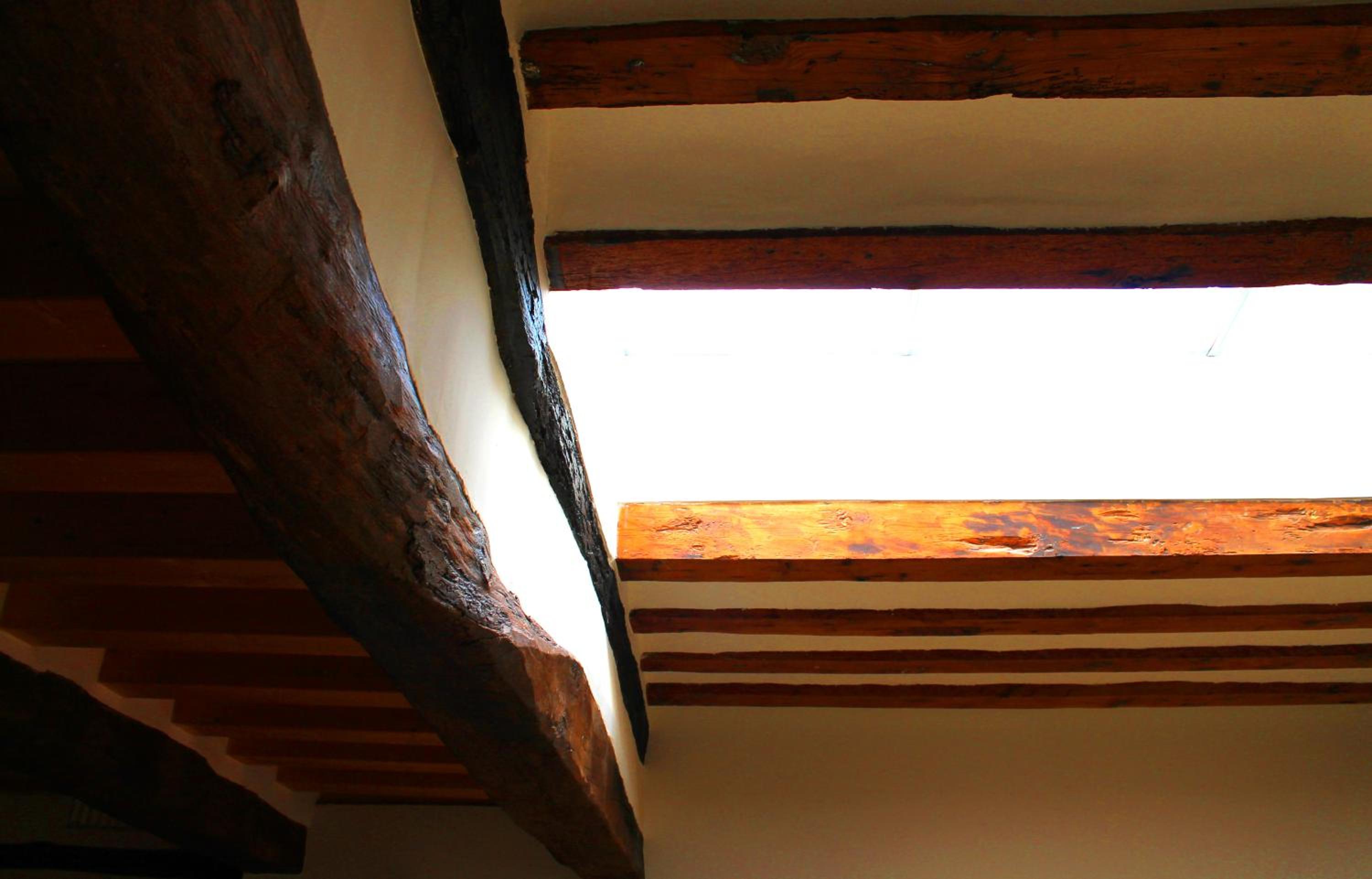 Posada Ignatius