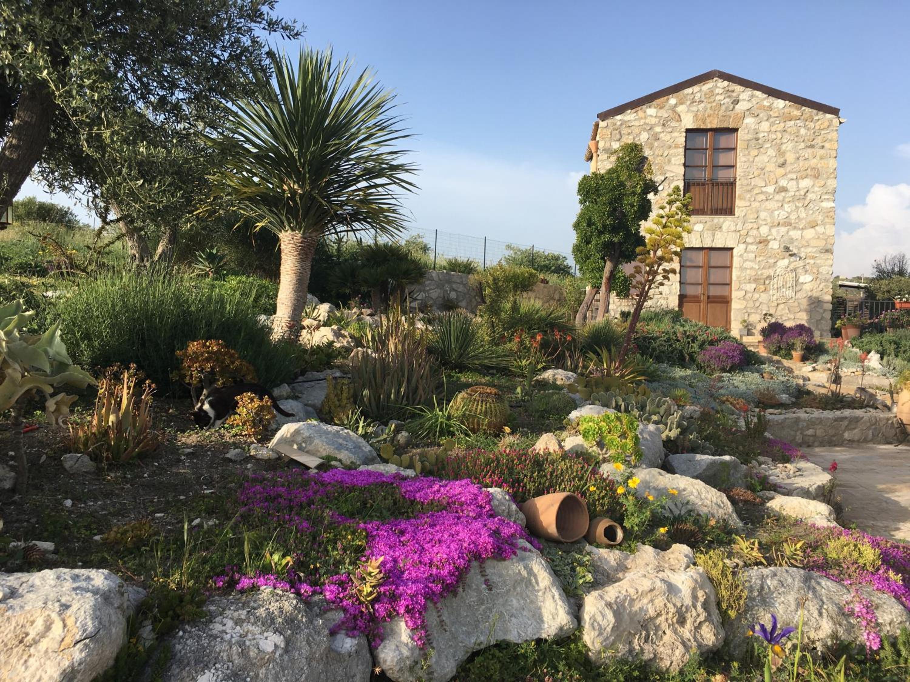 Casa Balata