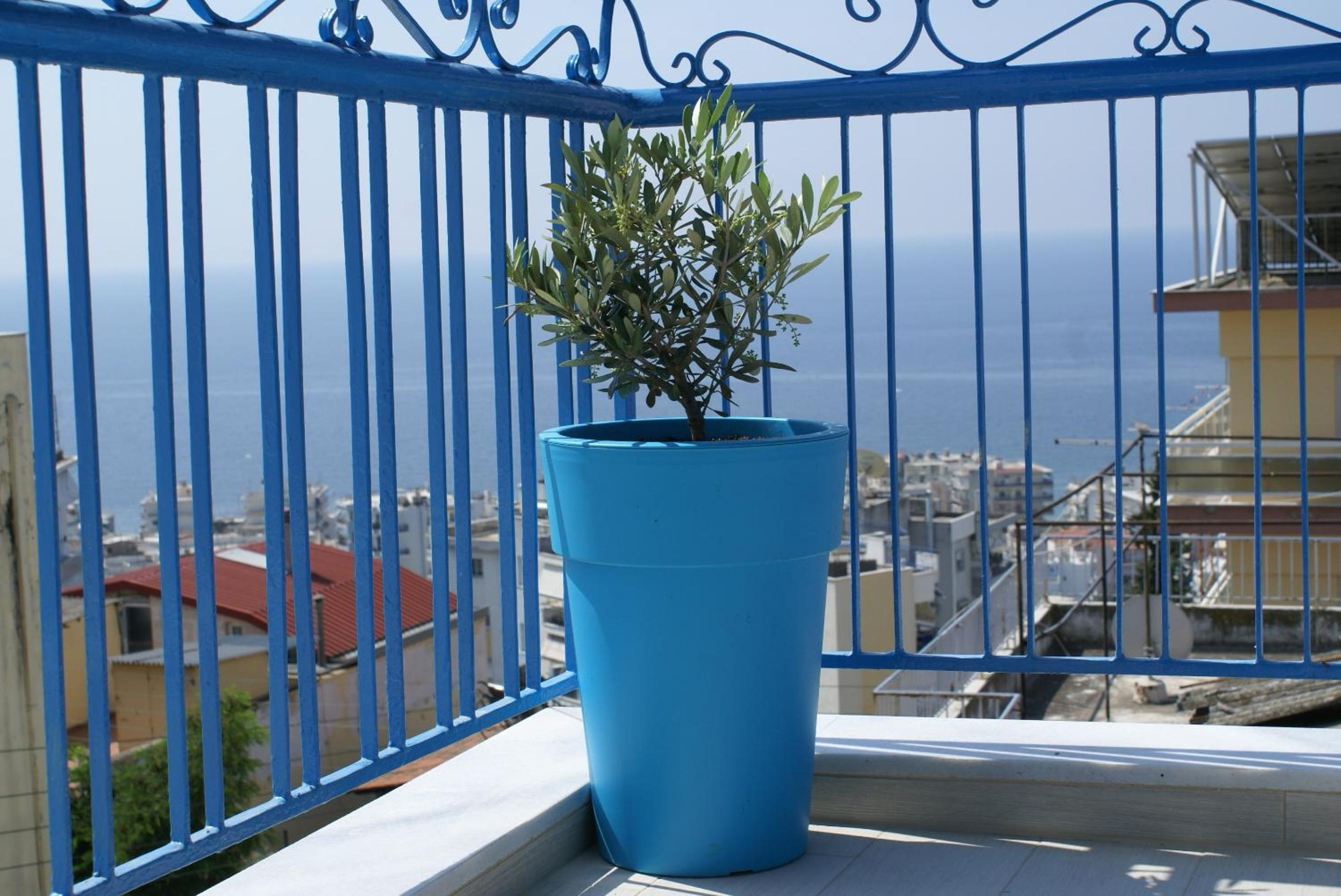 Island Apartment photo 4