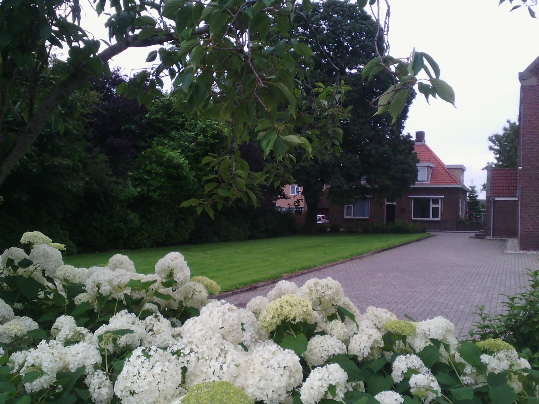 Photo 24