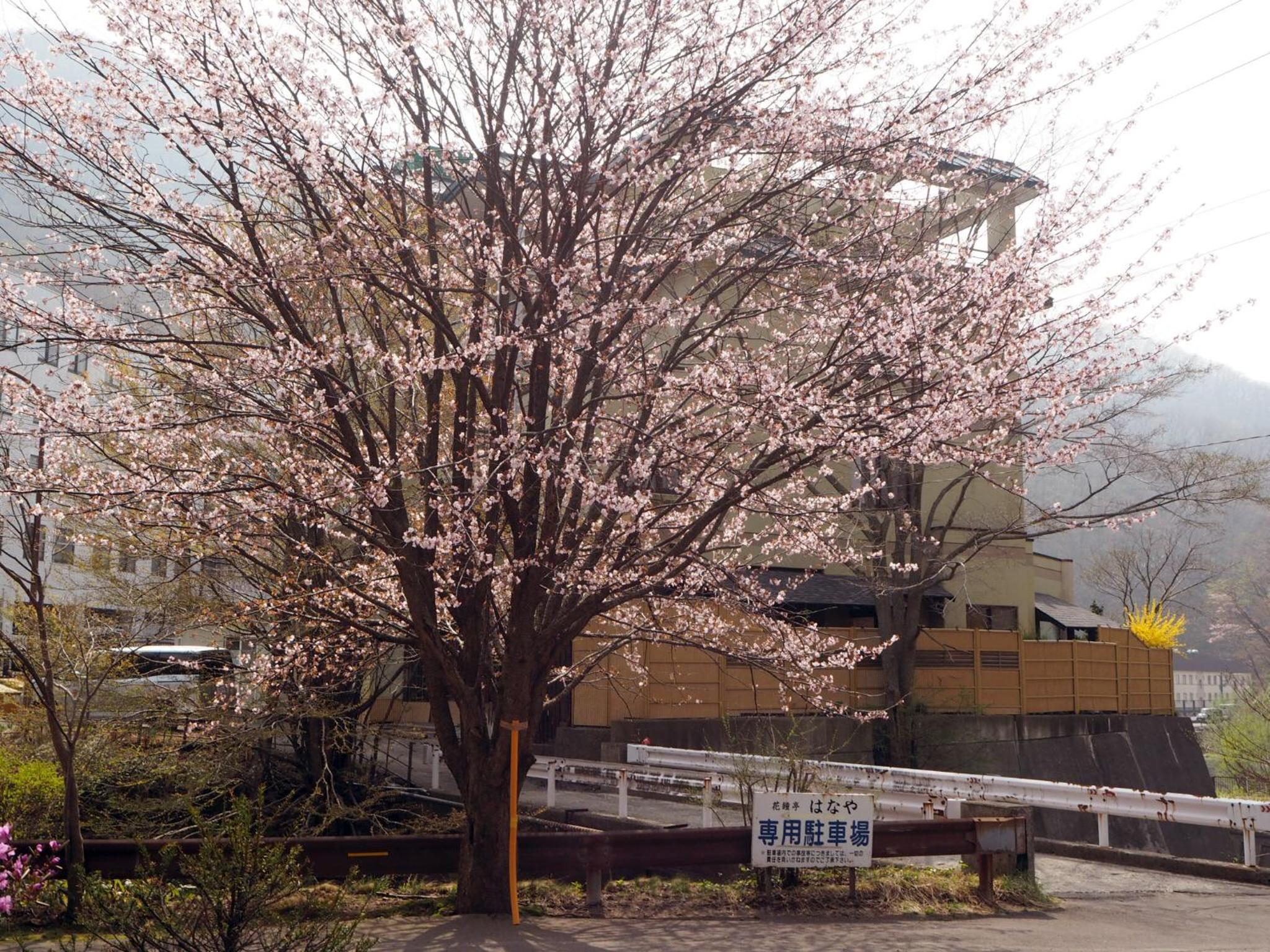 Kashoutei Hanaya