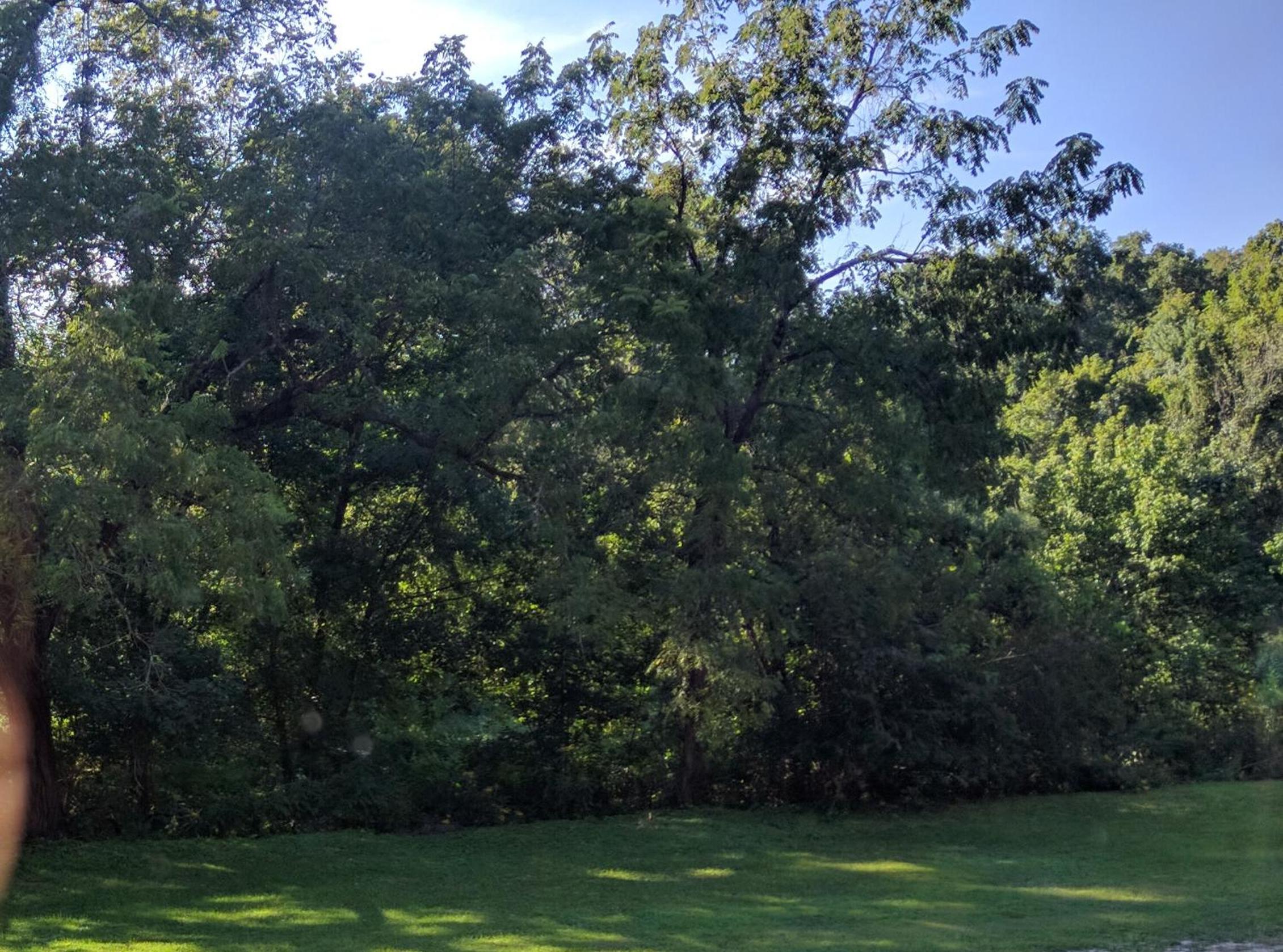 The Sugar Creek Retreat