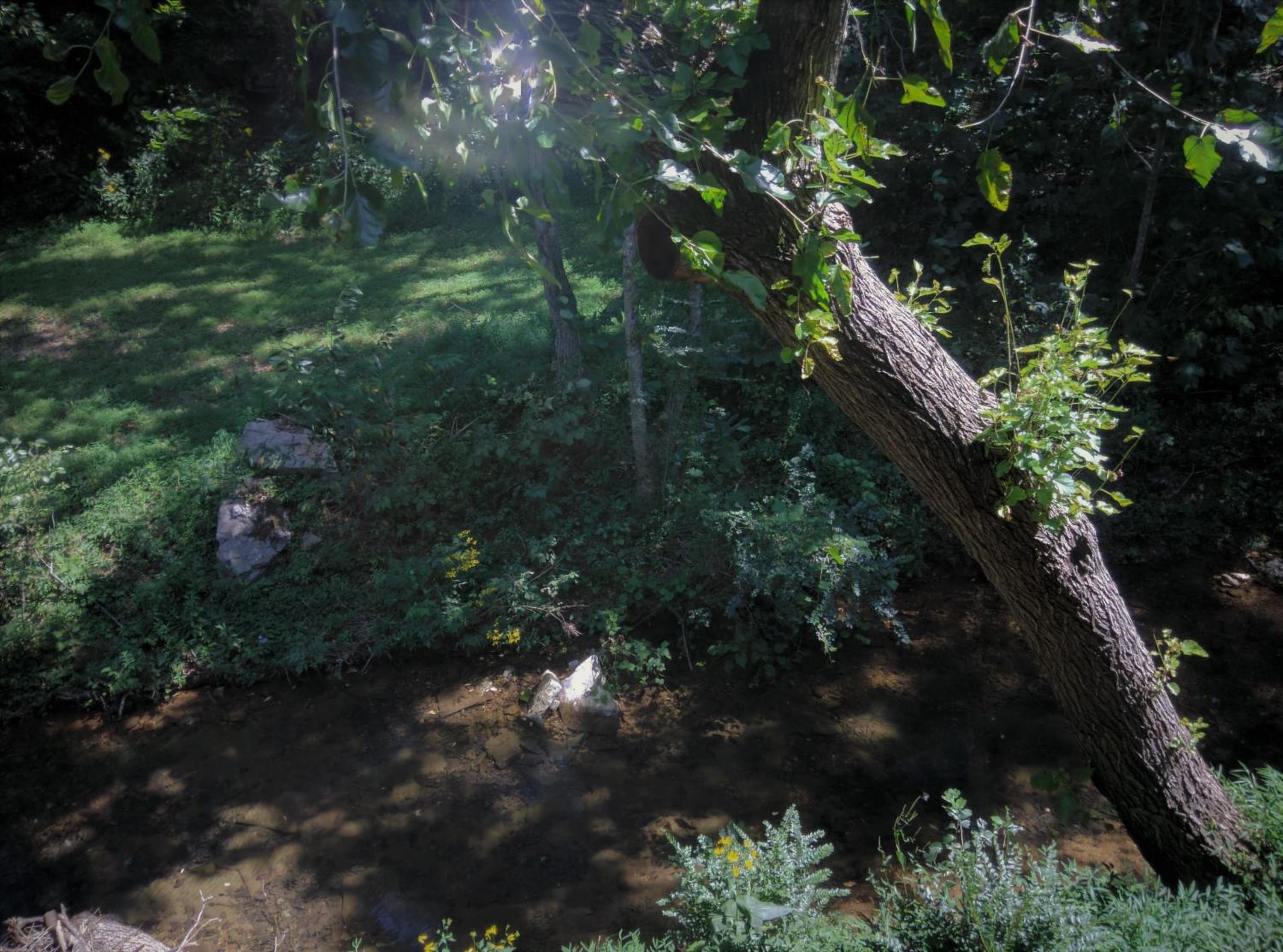 The Sugar Creek Retreat