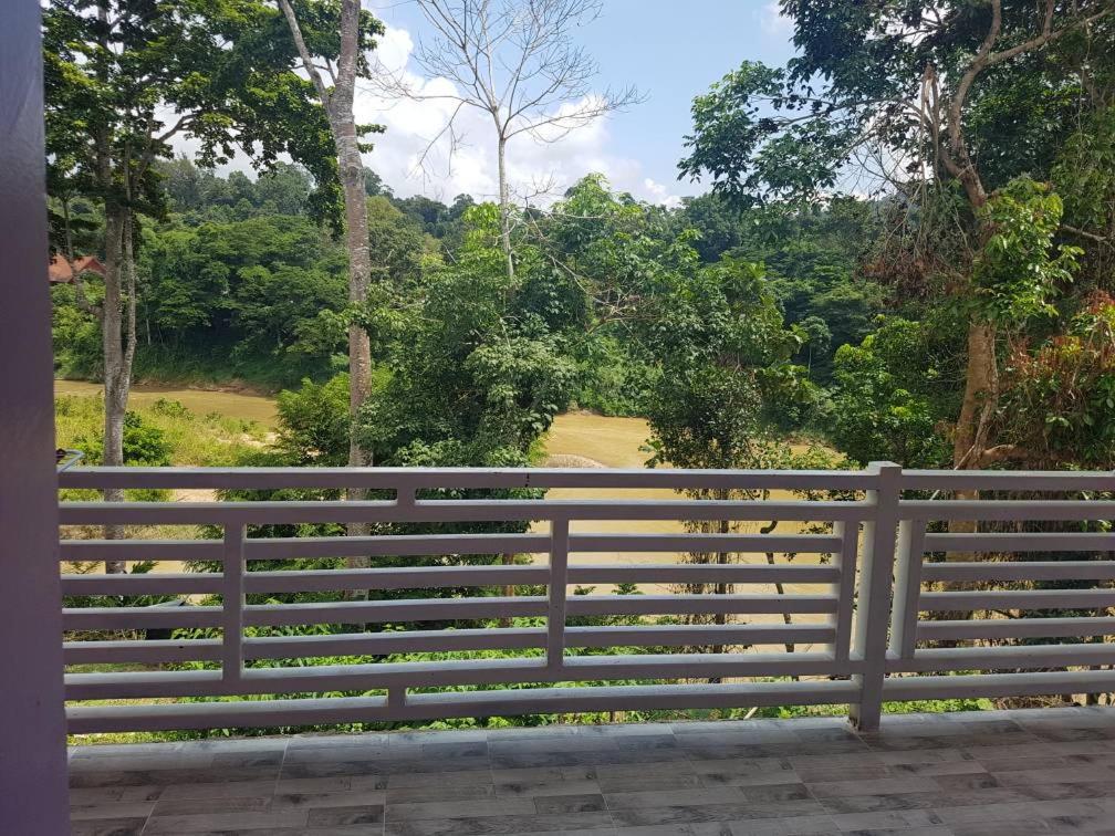 Taman Negara River View Lodge