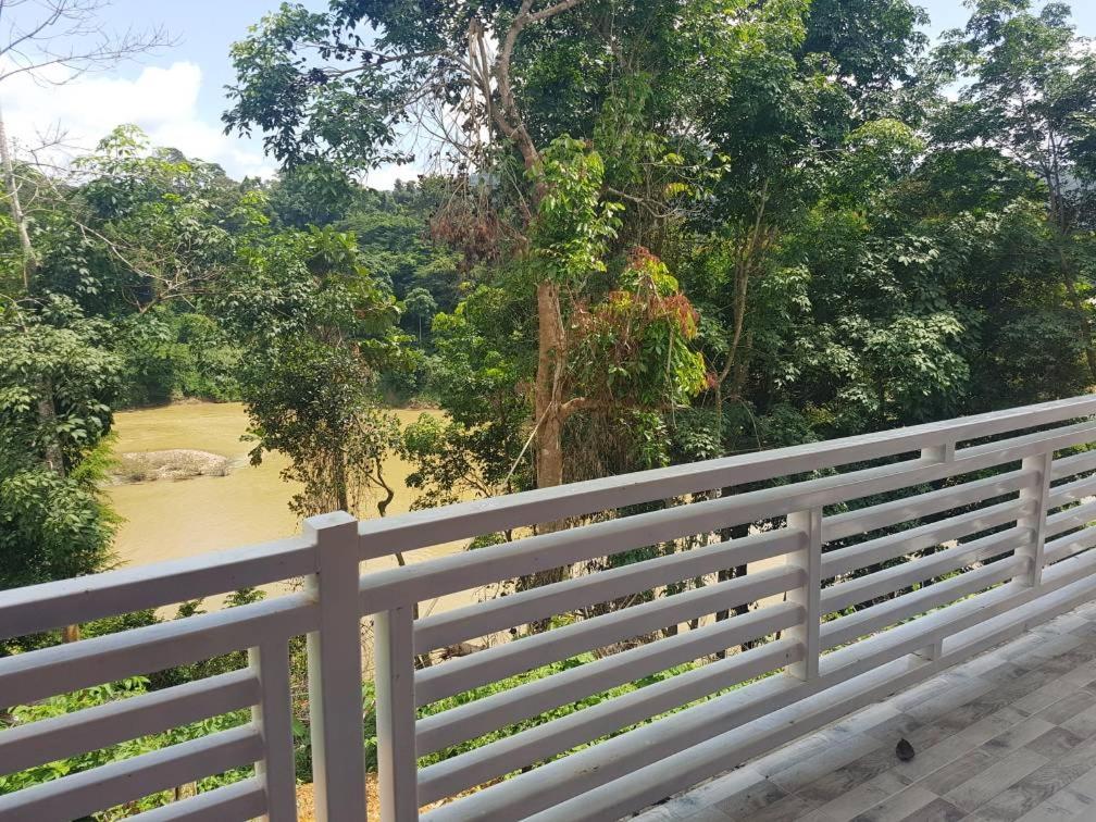 Taman Negara River View Lodge