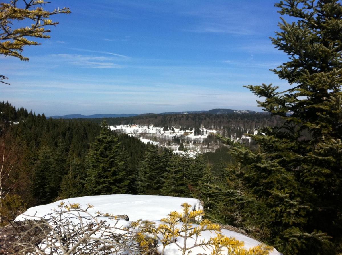 Photo 28