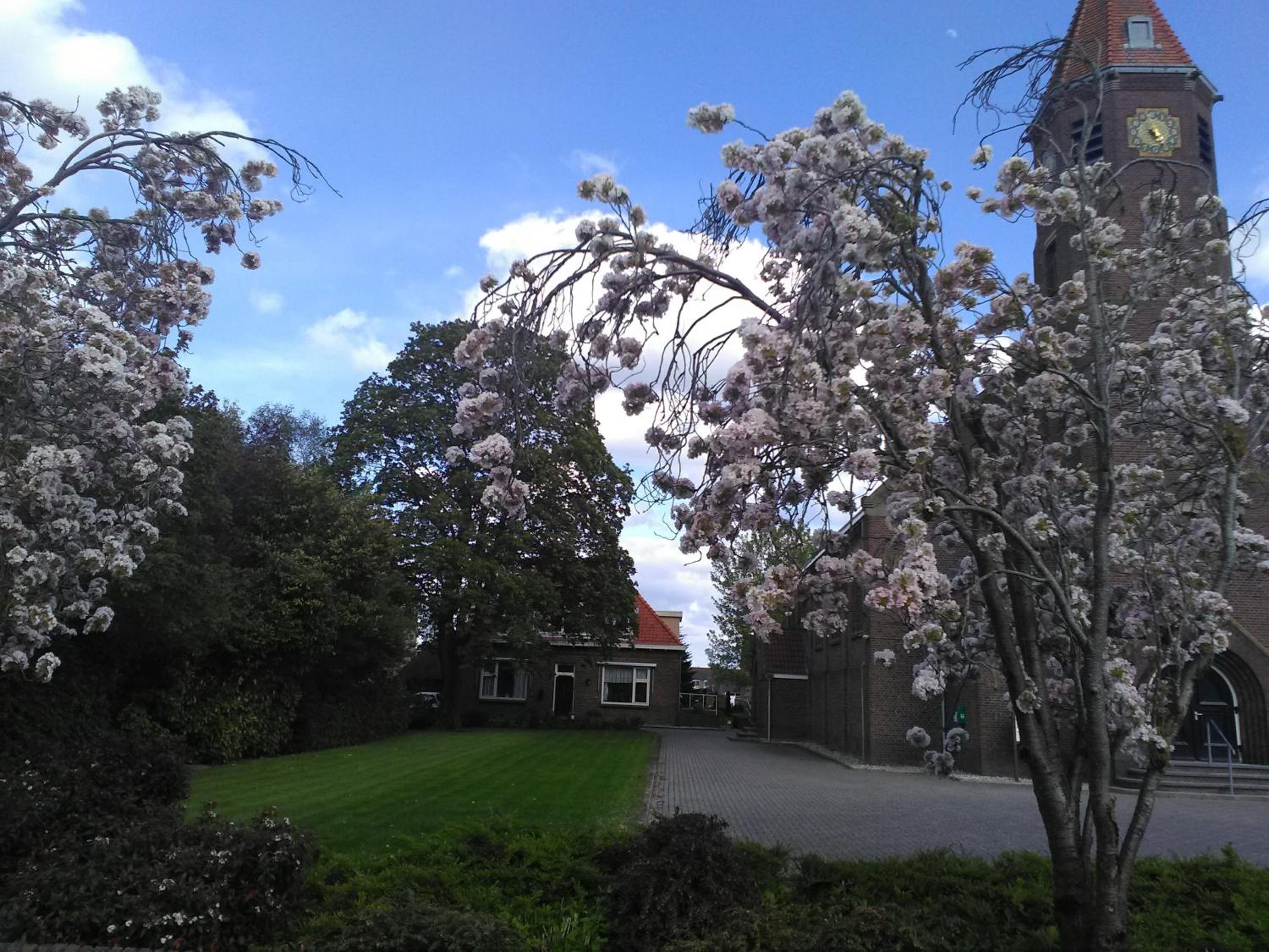 Photo 34