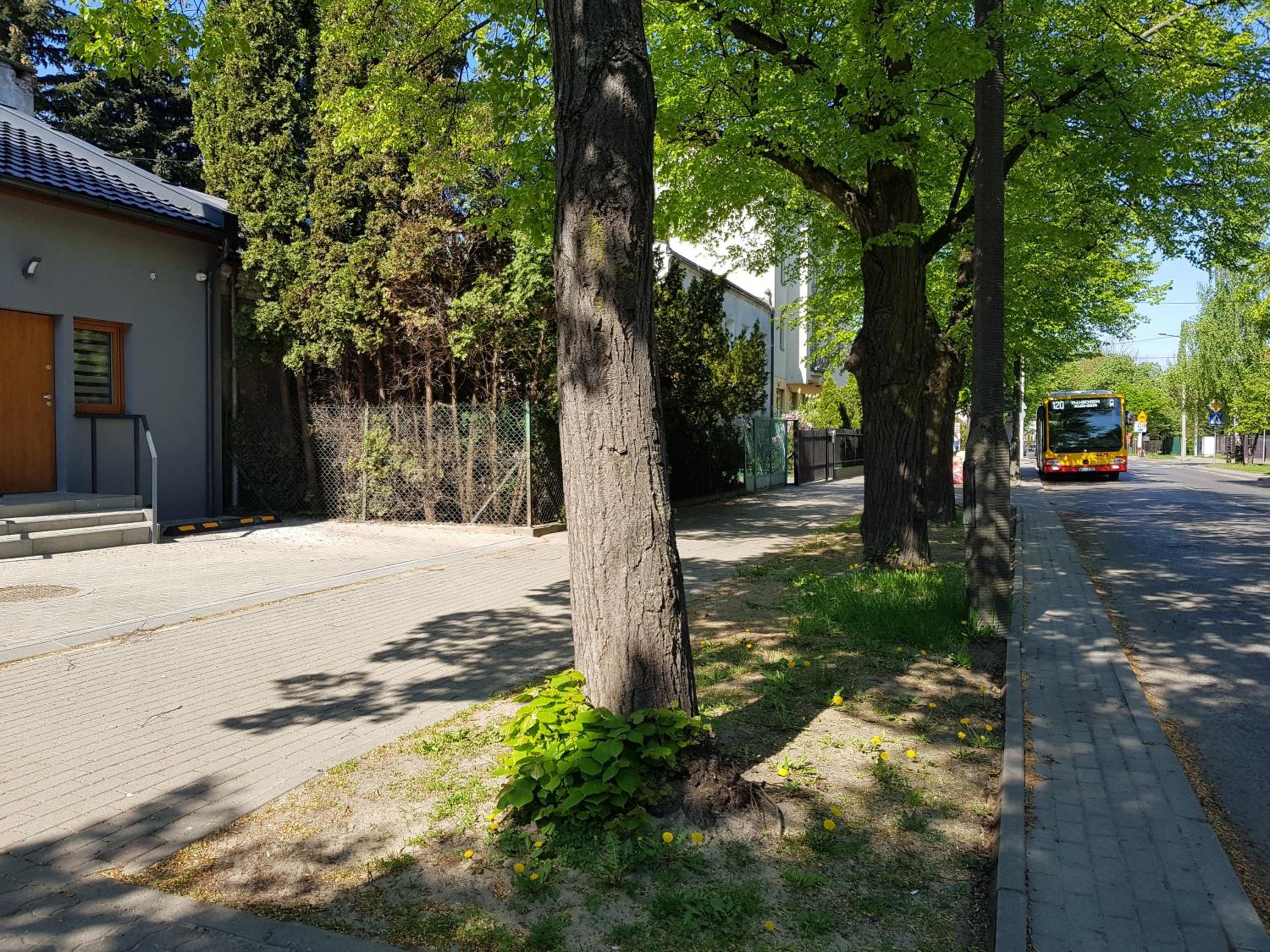 Photo 25