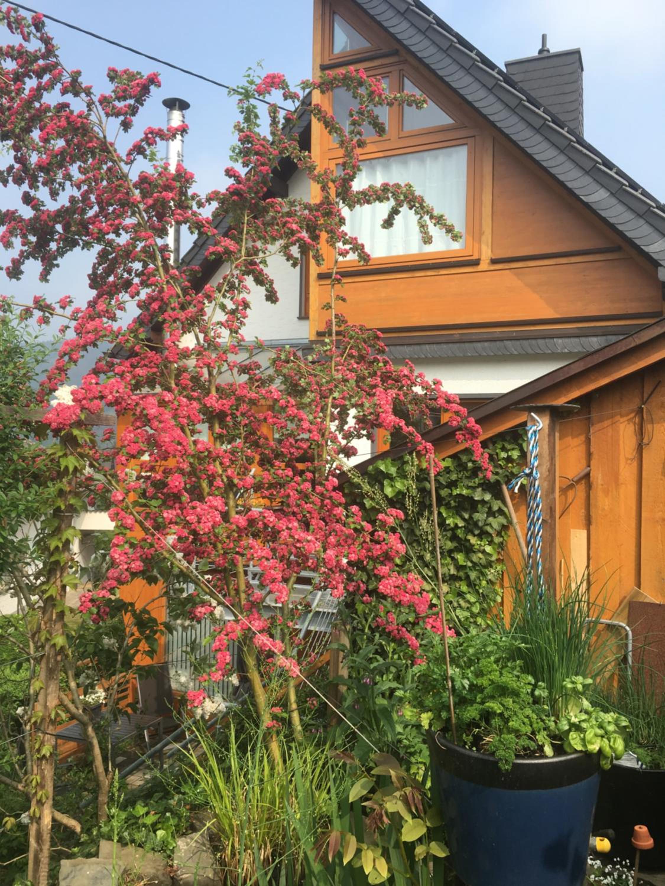 Photo 22