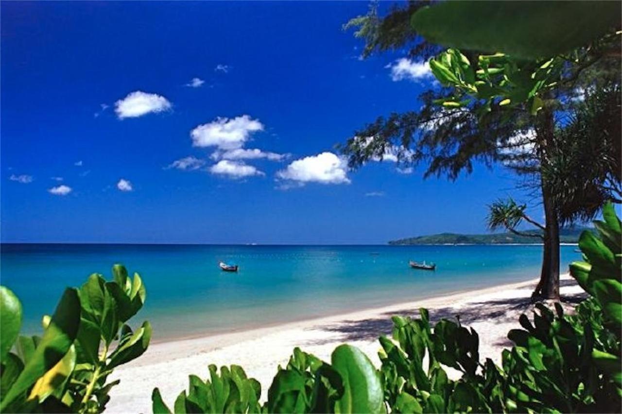 Art Patong Residence