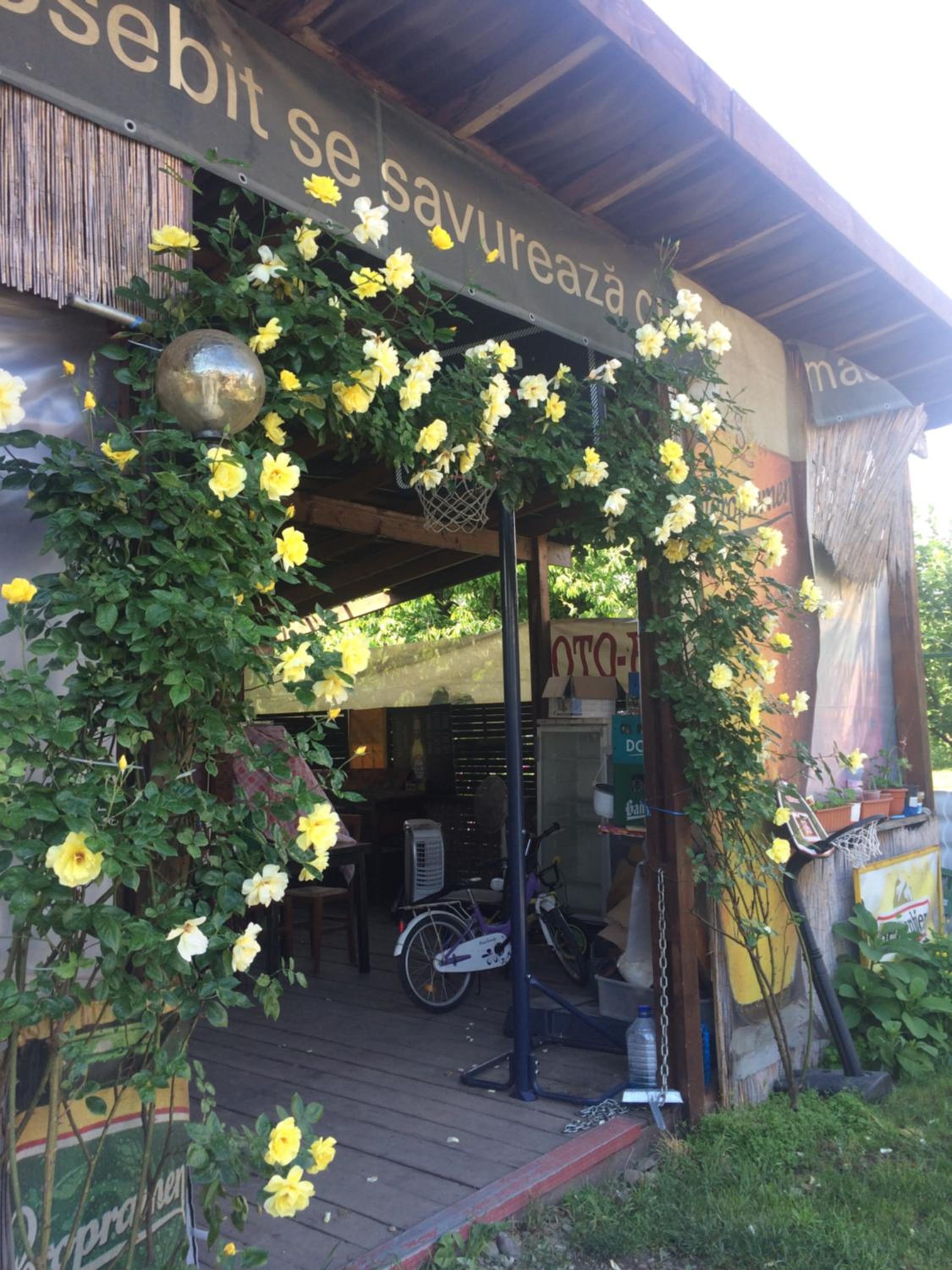 Photo 44