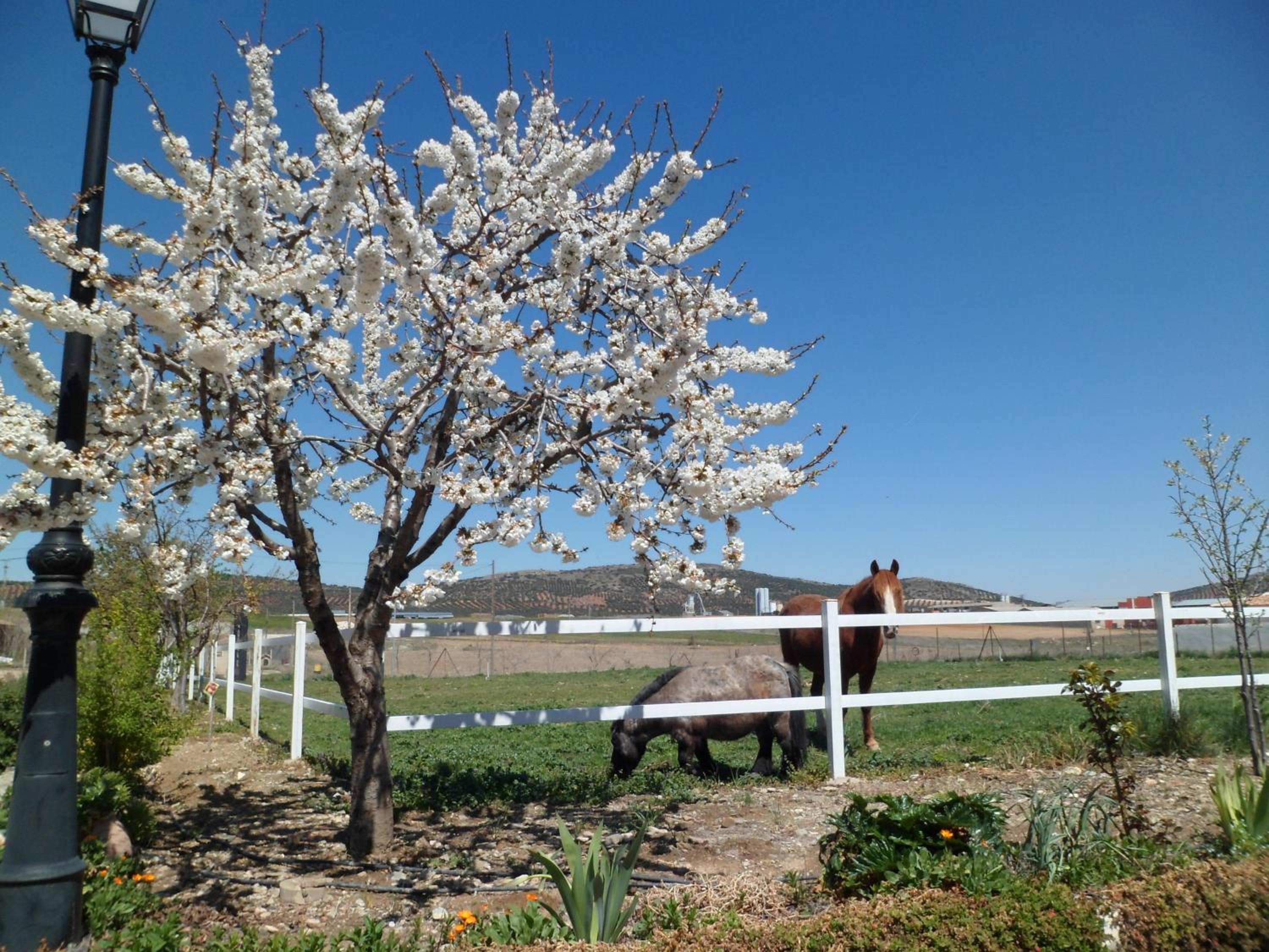 Los Laureles Casa Rural