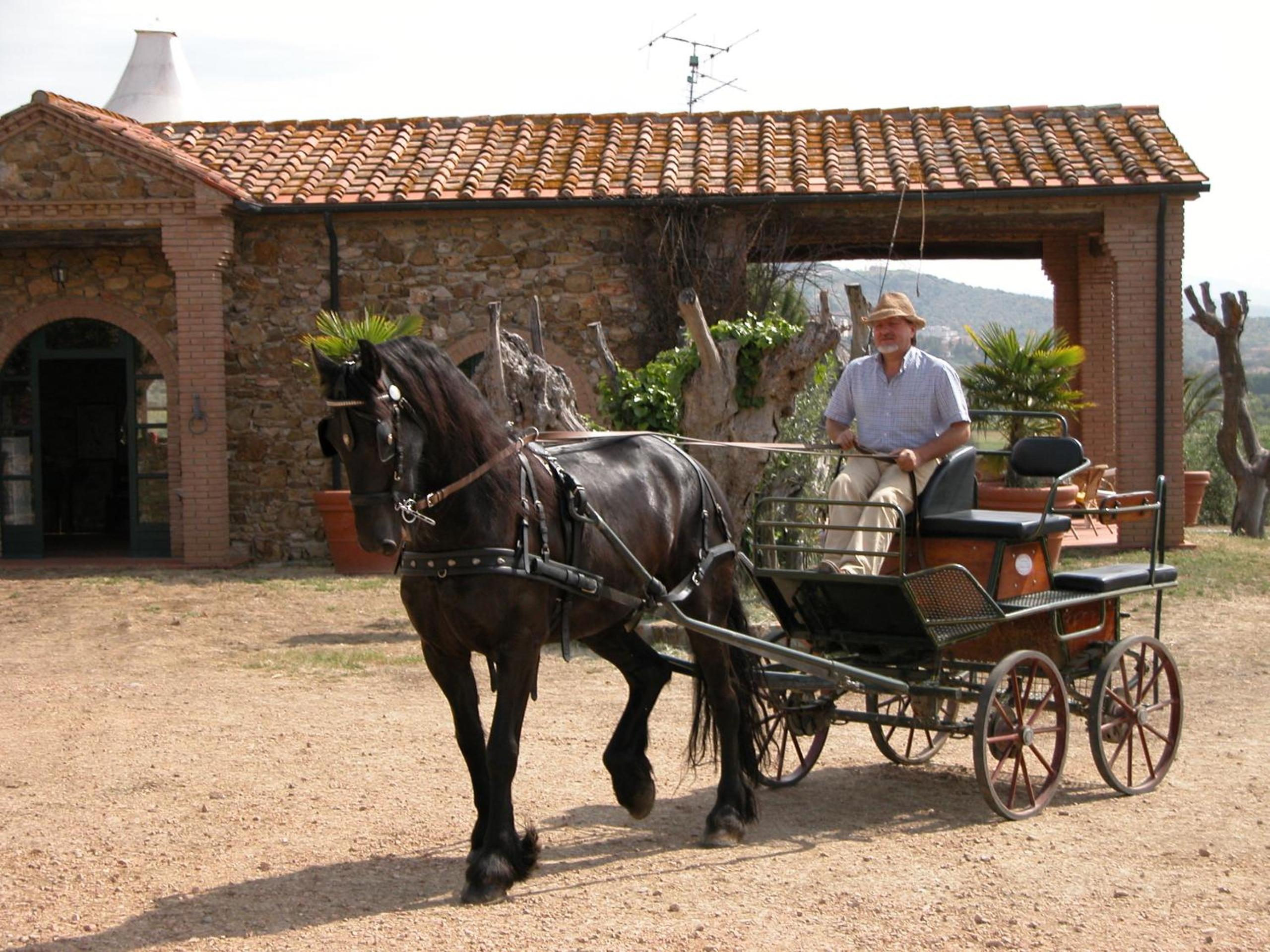 Agriturismo La Fontanella & Glamping view 5