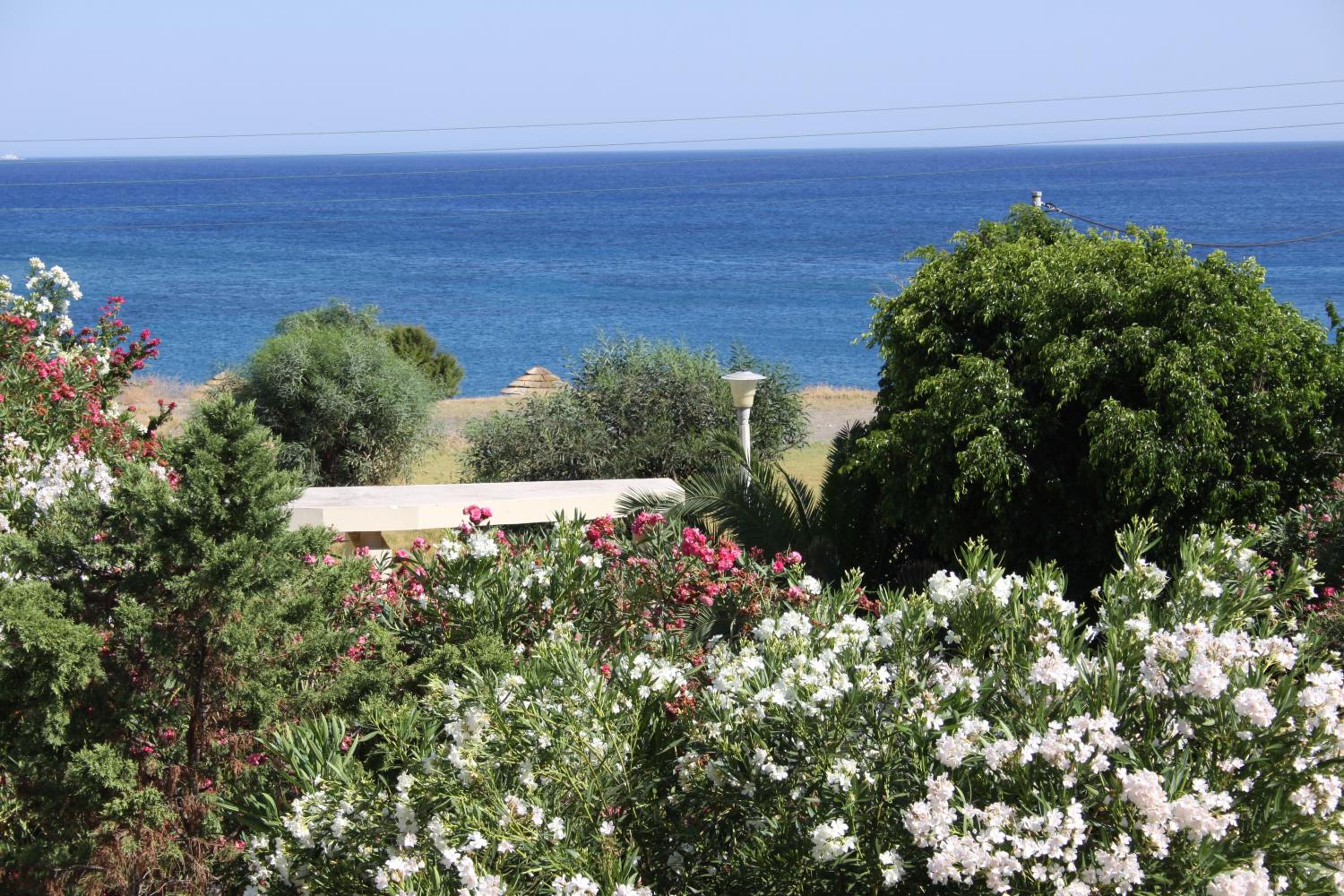 Athina view 2