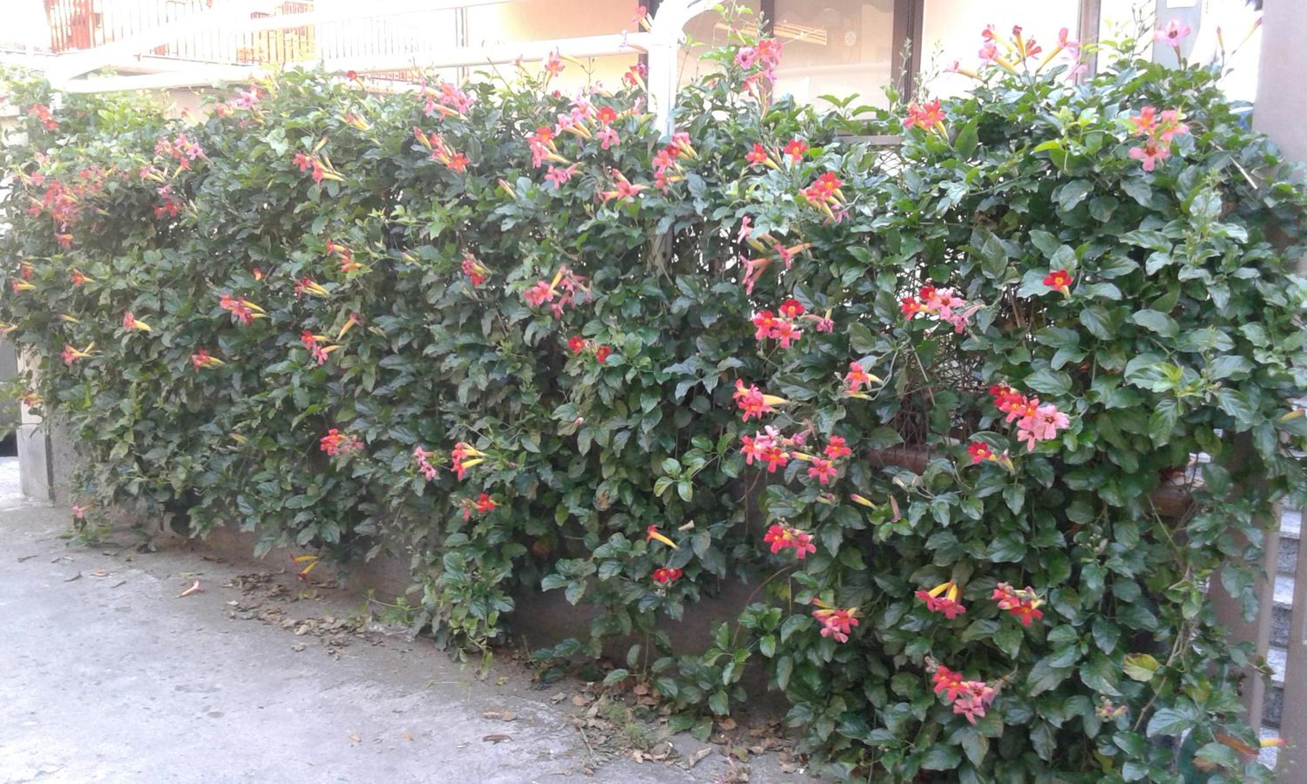 Eurelios view 5