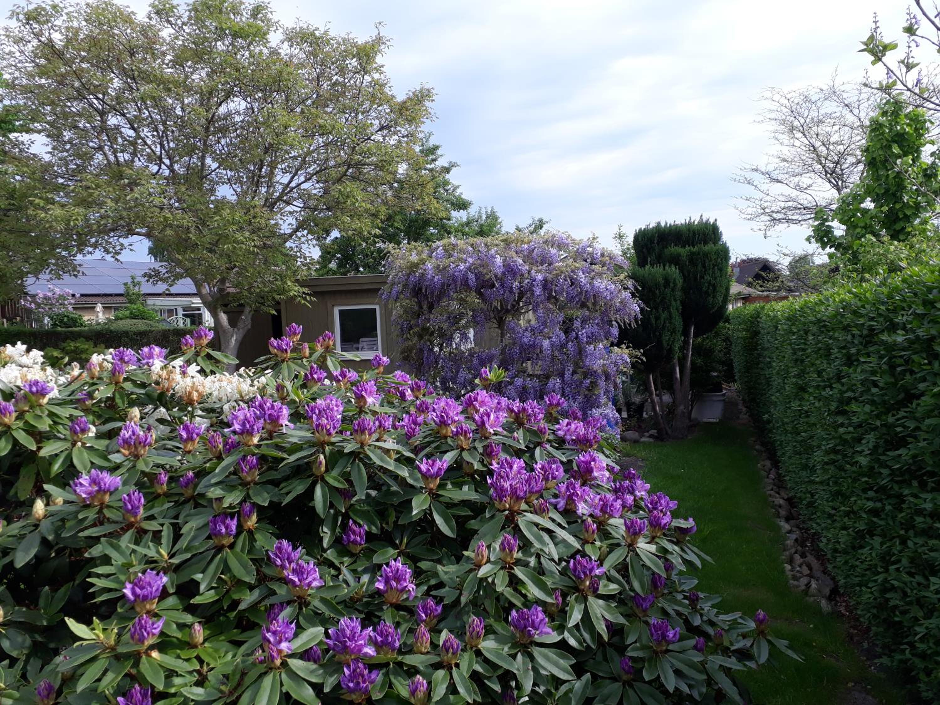 Photo 19