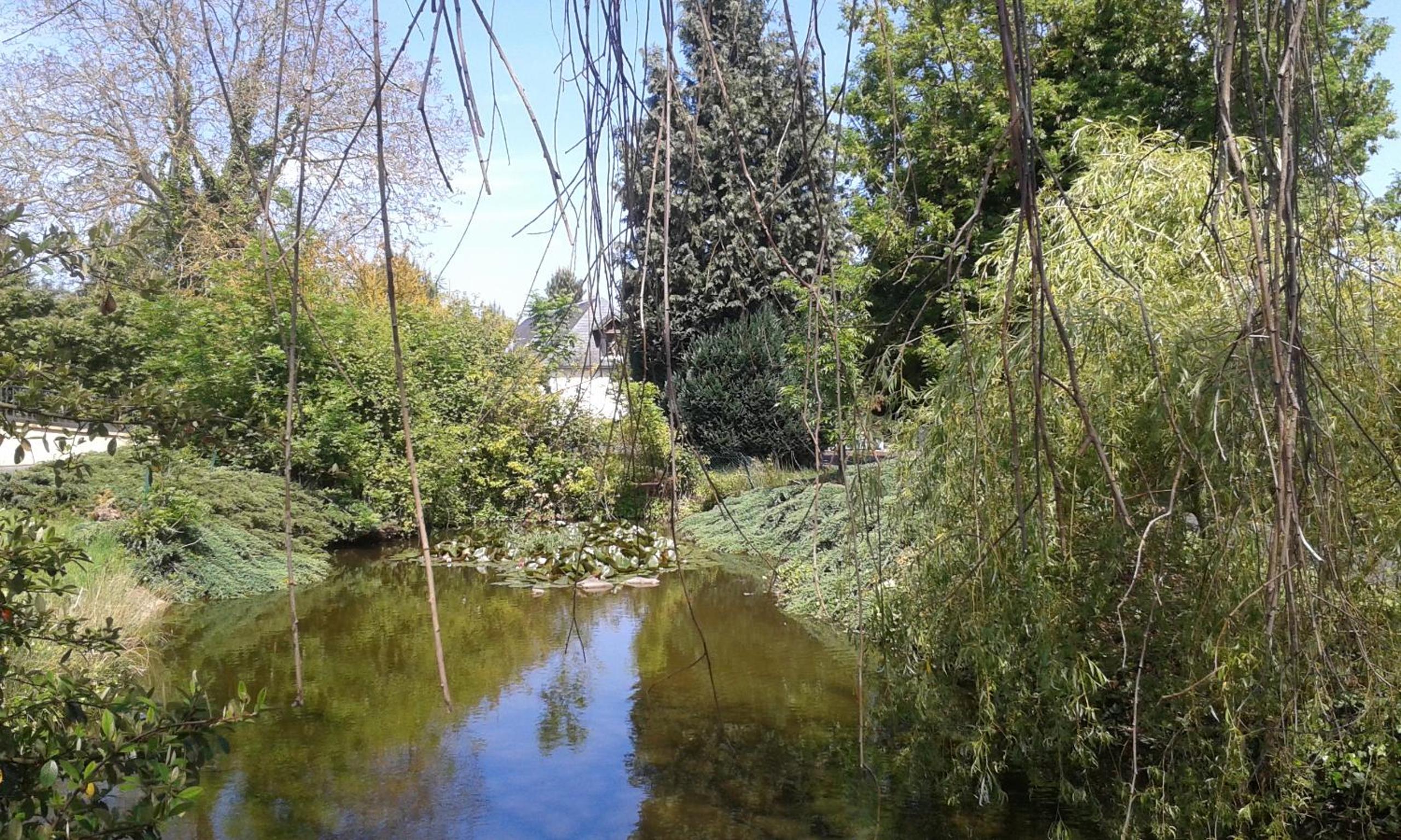 Photo 11