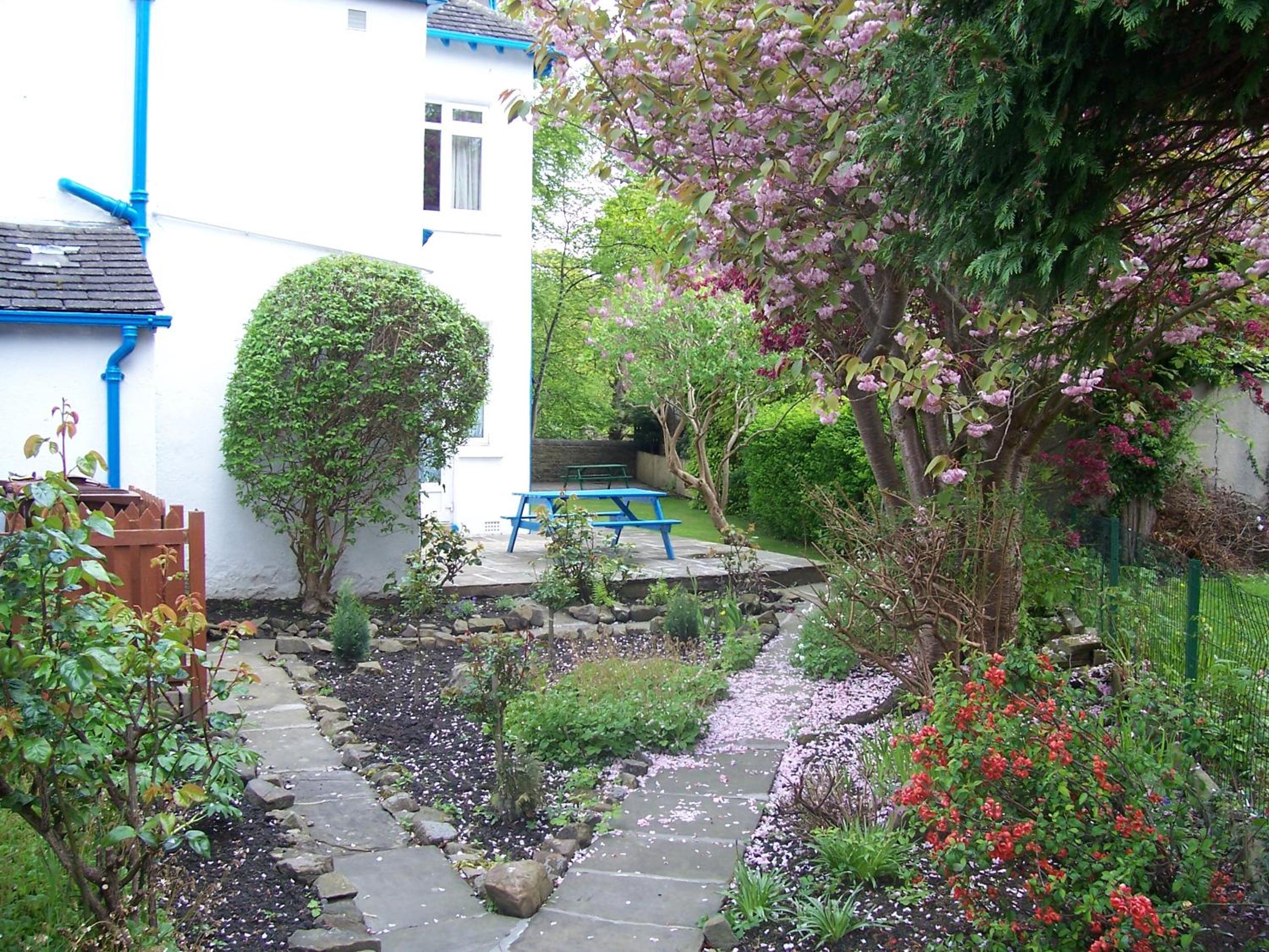 Photo 7