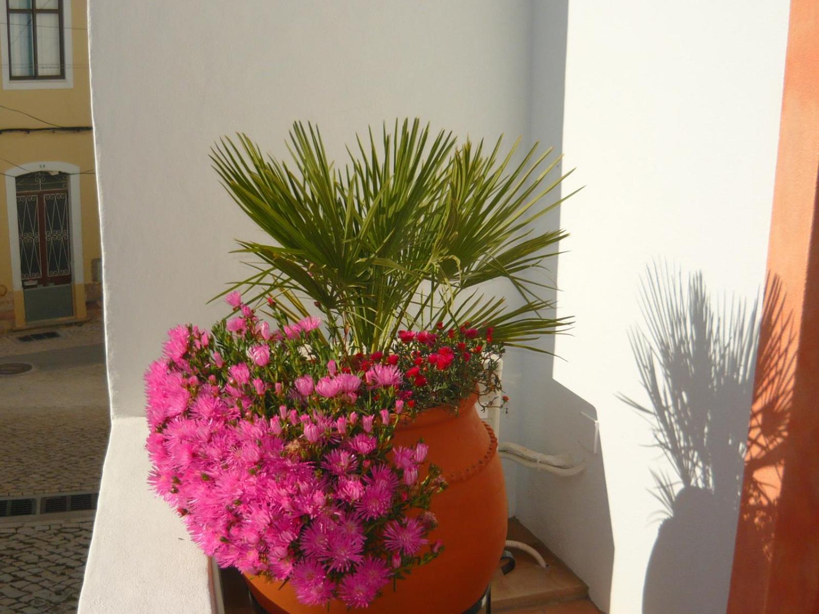 Casa do Gato view 4