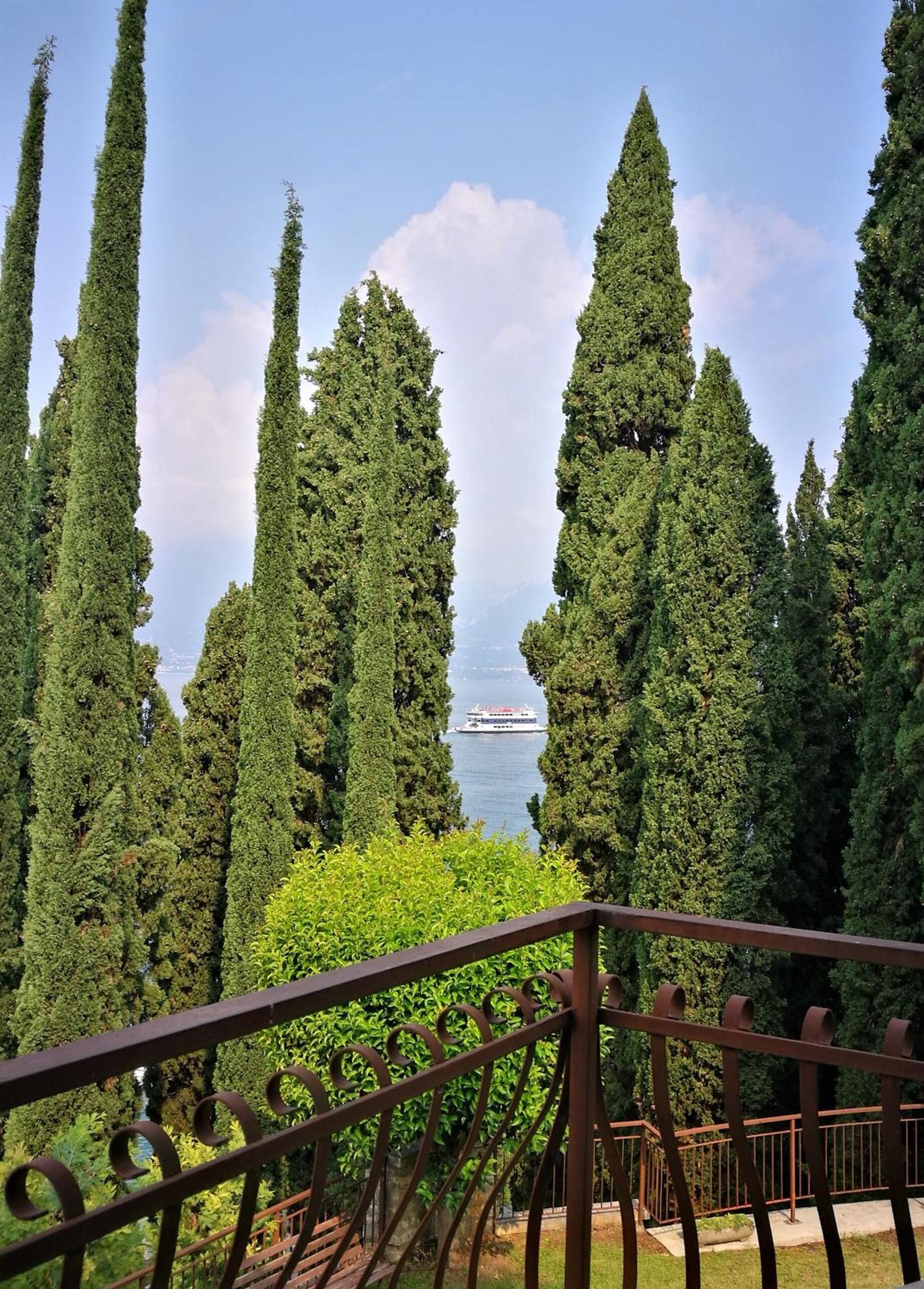 Photo 44