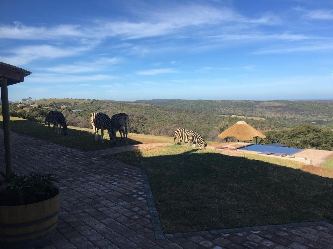 Jbay Zebra Lodge