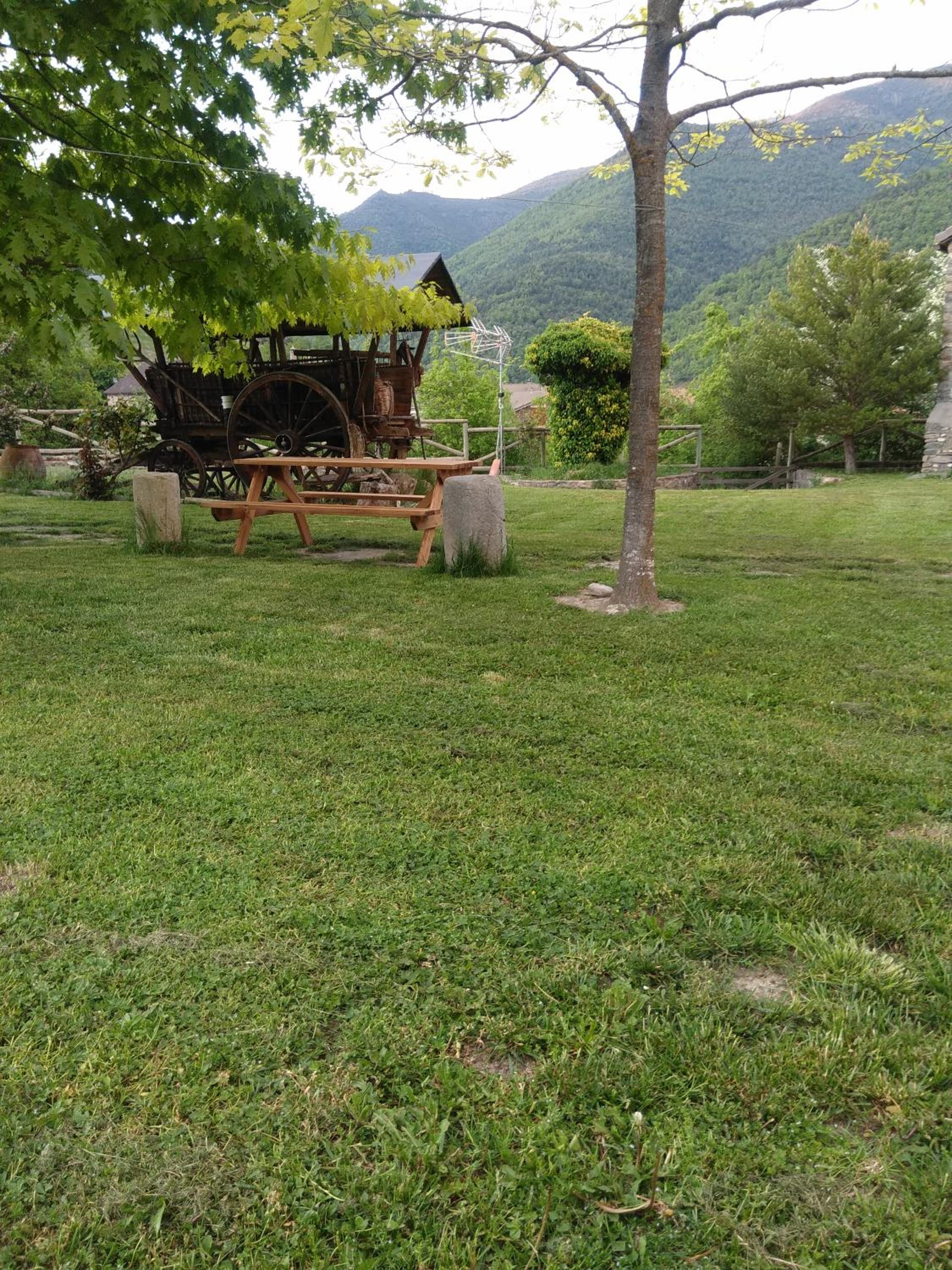 Photo 49
