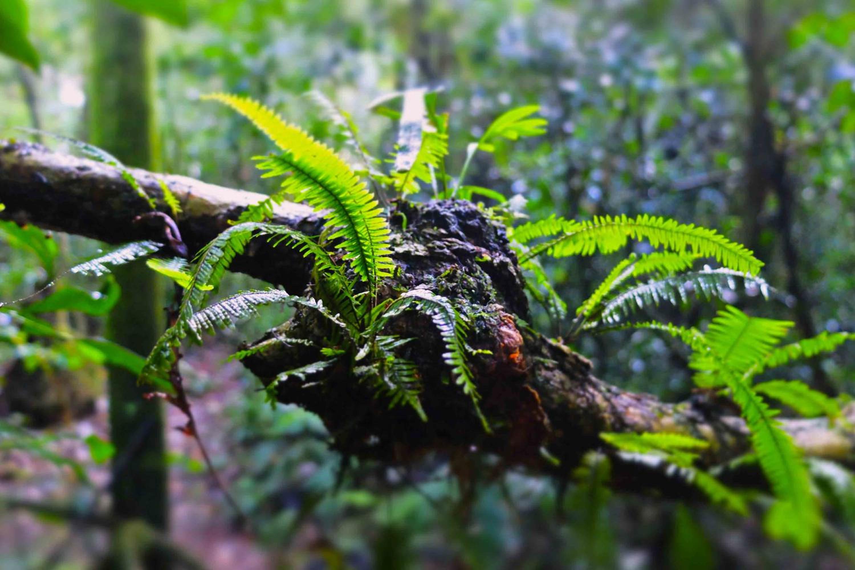 Chacra del Agua Reserva Privada