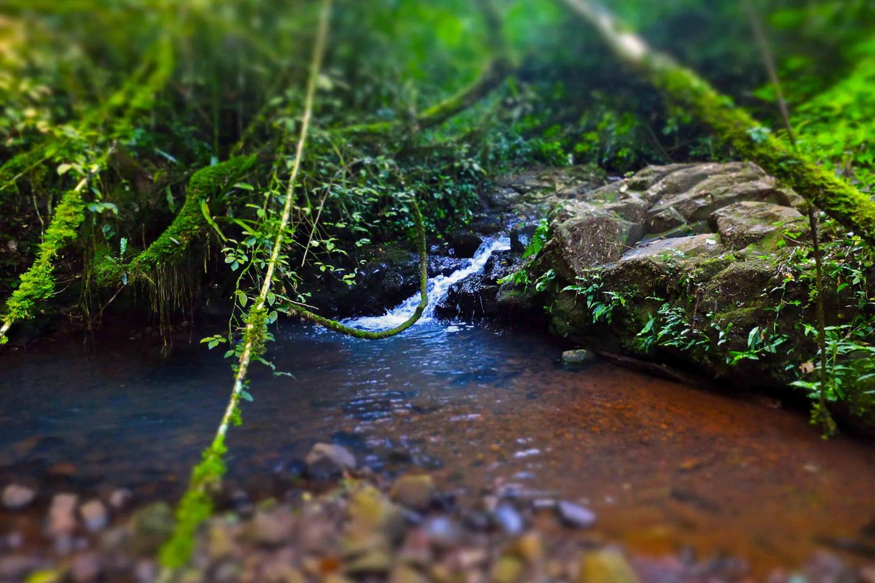 Chacra del Agua Reserva Privada