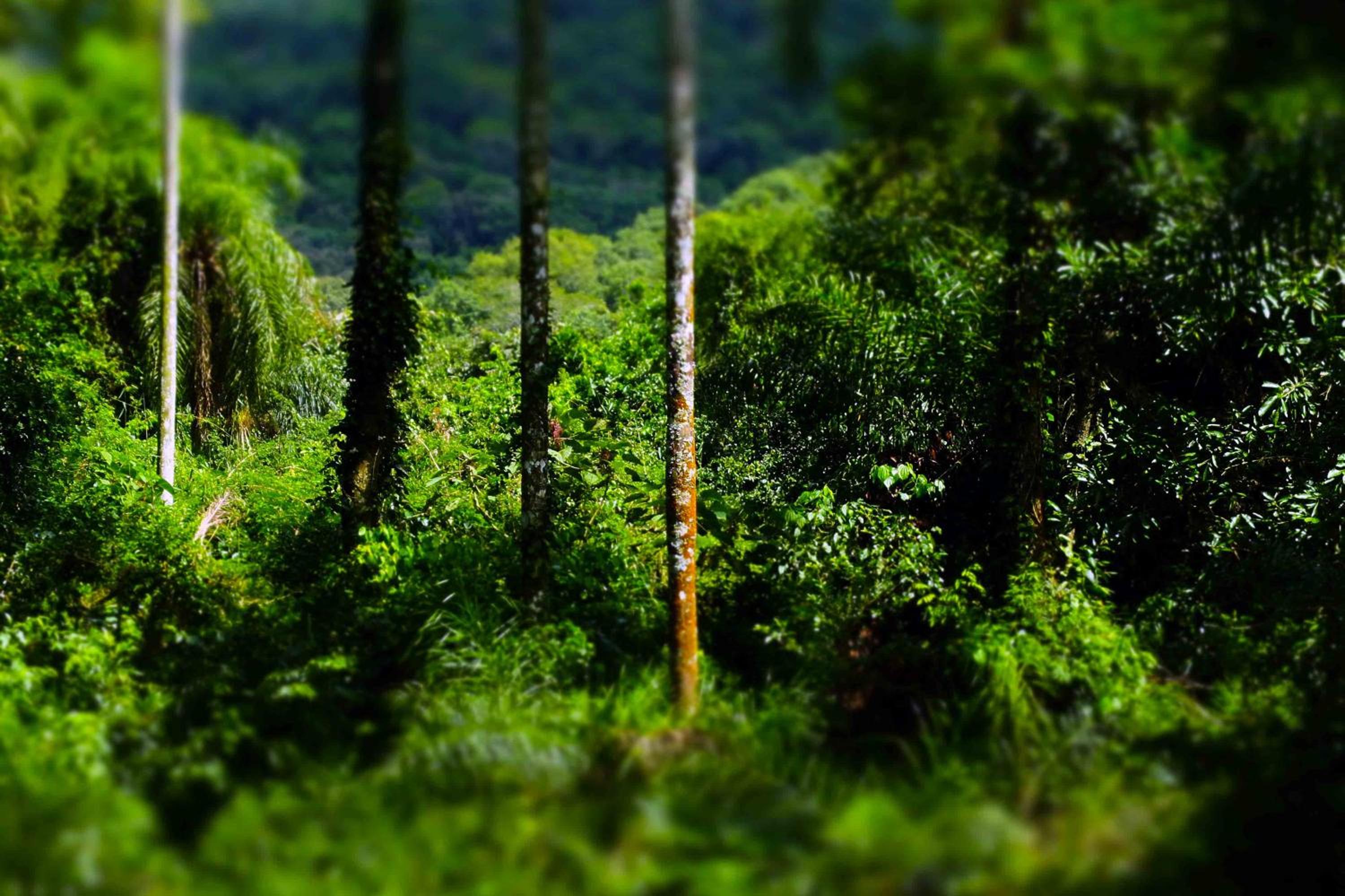Chacra del Agua Reserva Privada