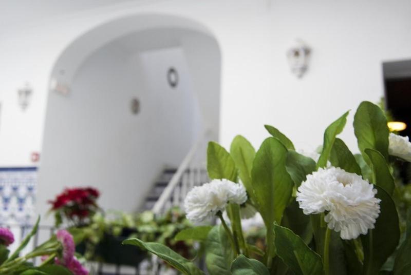 Hostel Triana Backpackers