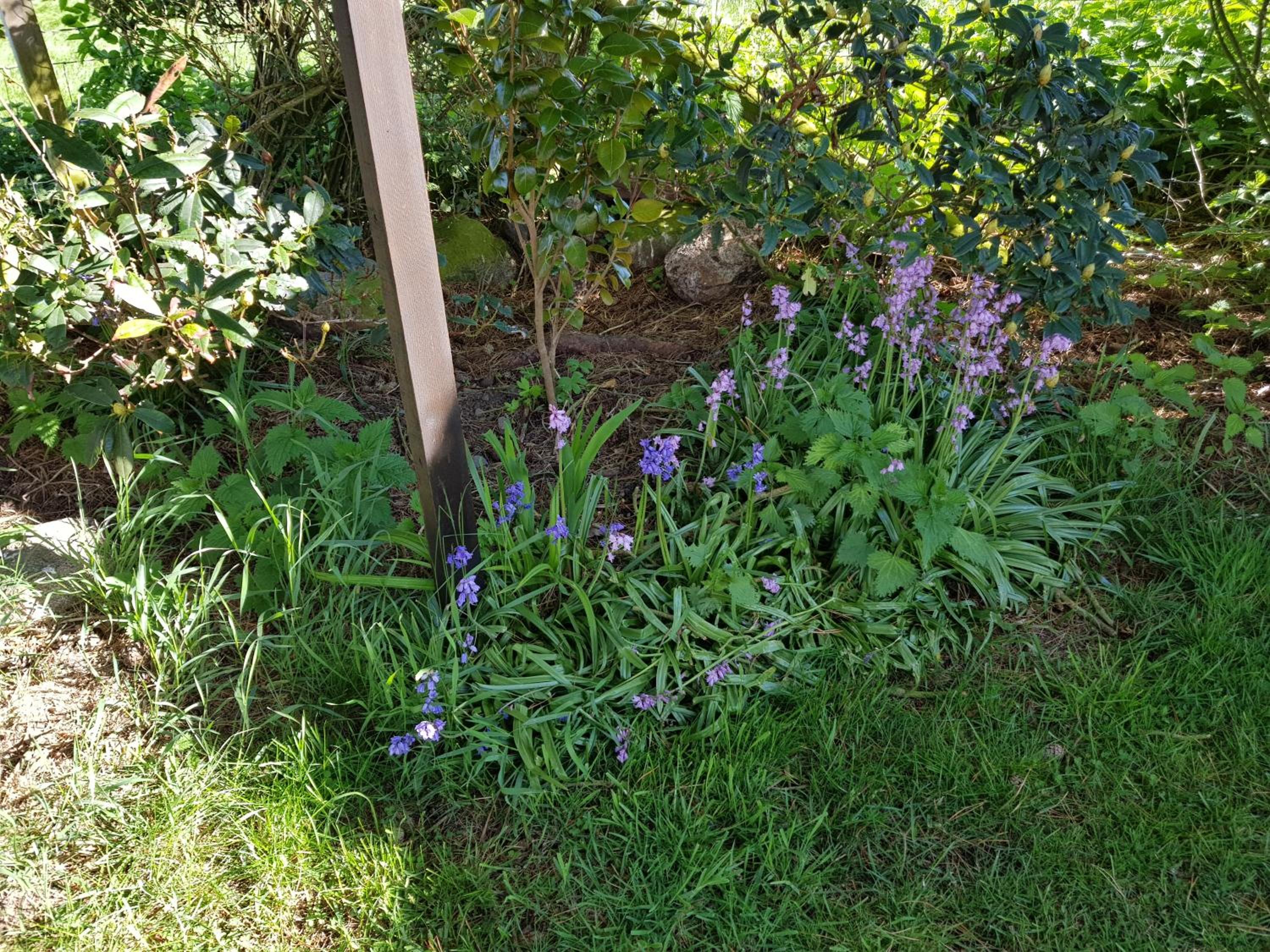 Photo 27