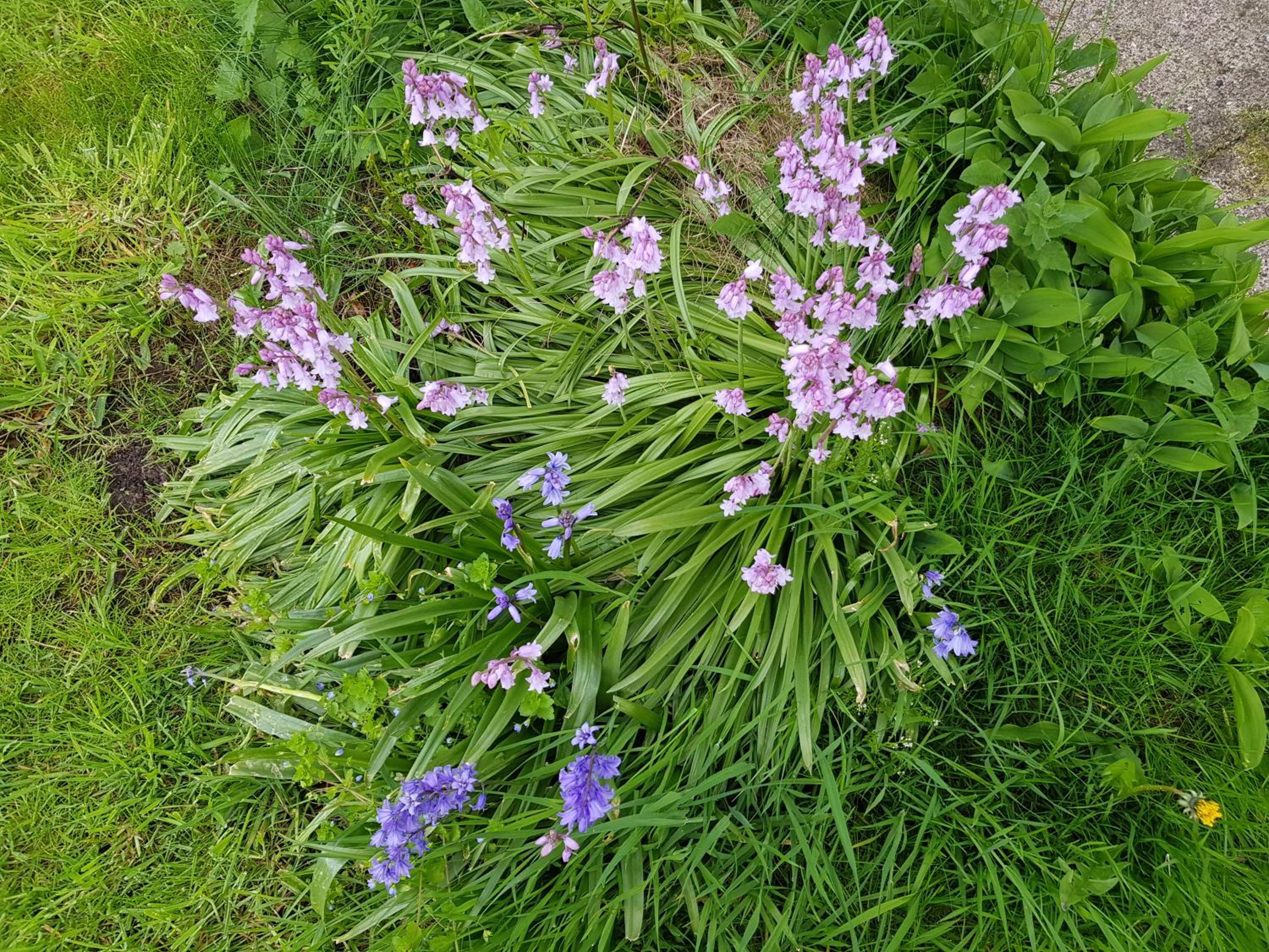 Photo 33