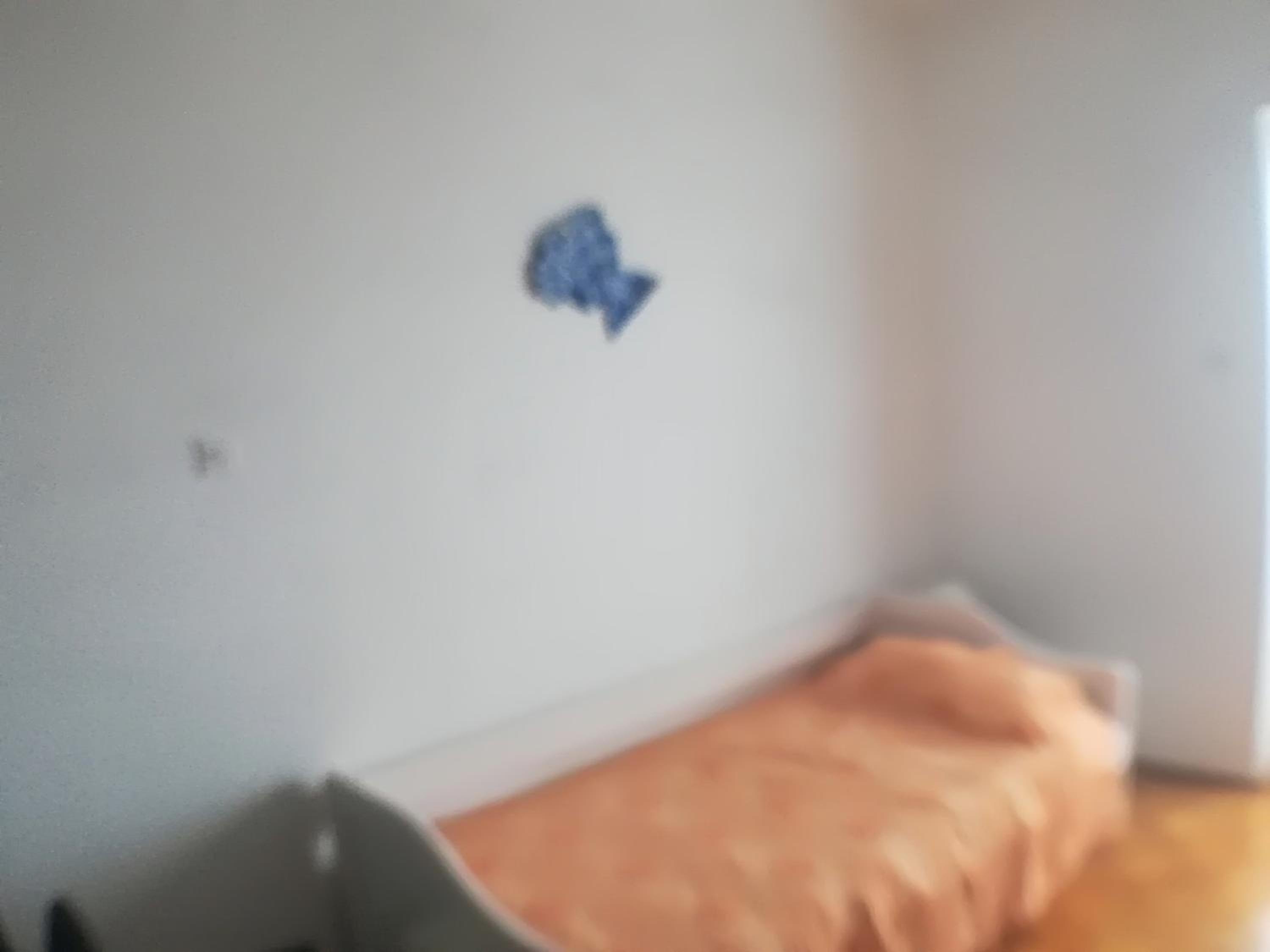Photo 33
