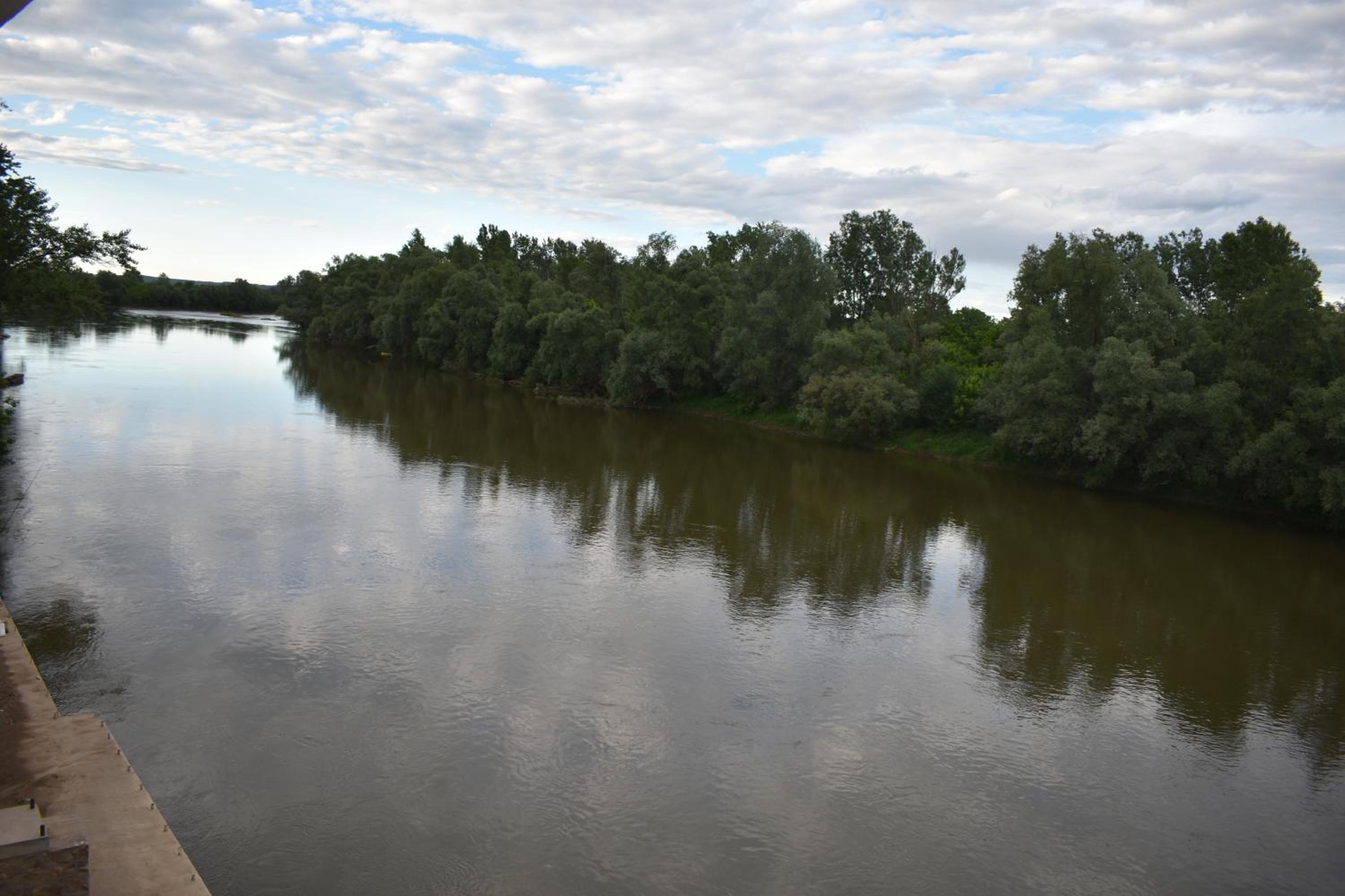 Photo 51