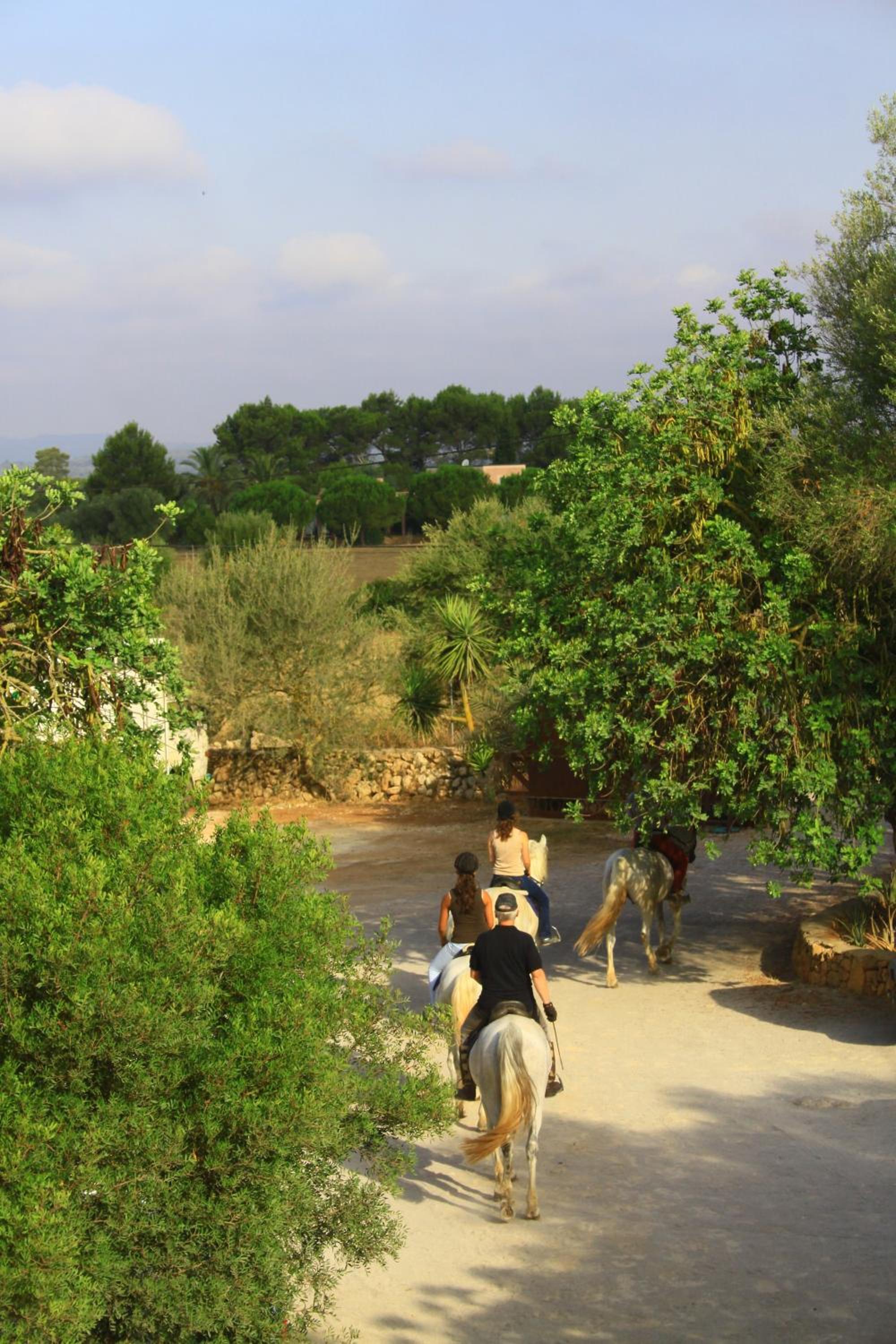 Finca Agroturismo Son Menut