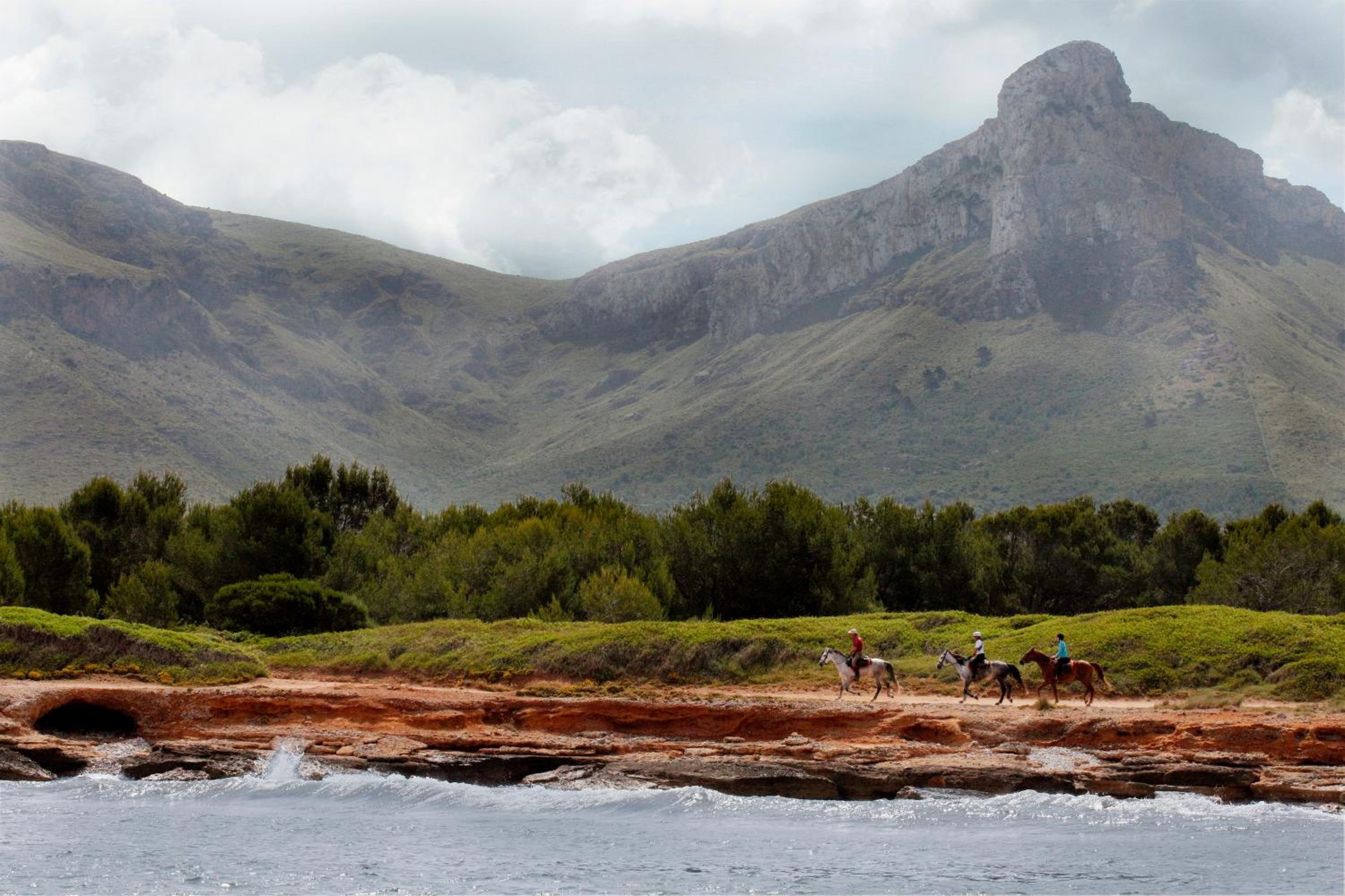 Finca Agroturismo Son Menut