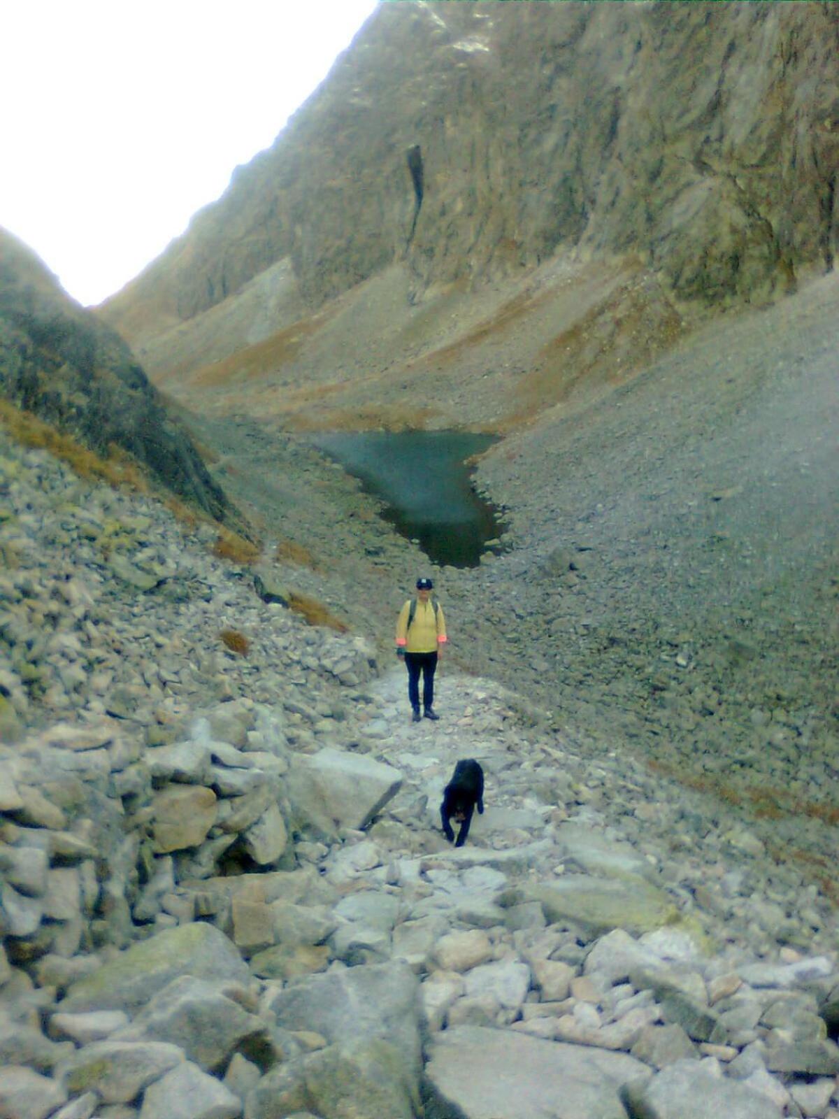 Photo 33