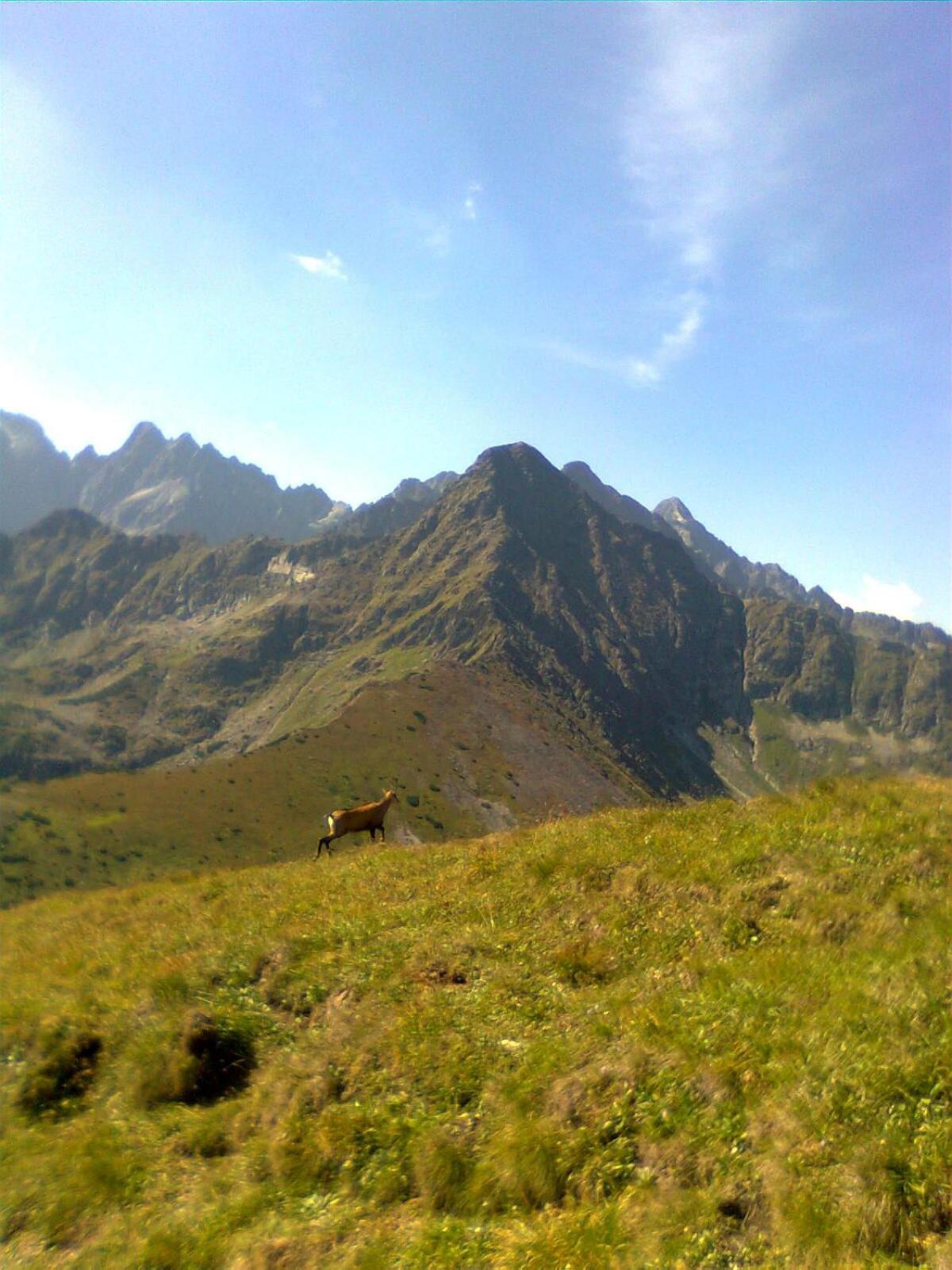 Photo 31